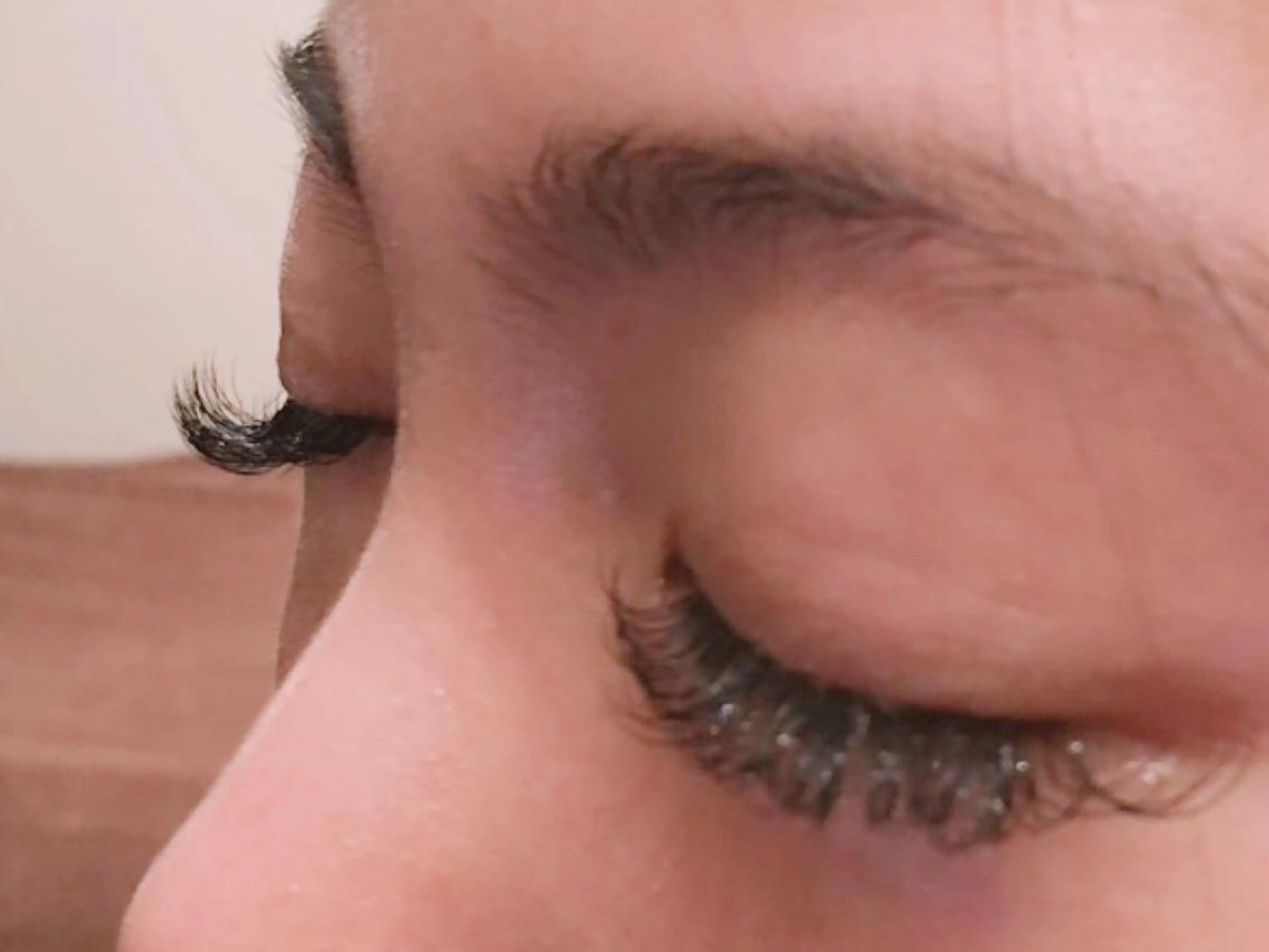 【新規】最高級セーブル付け放題オフ込みの写真