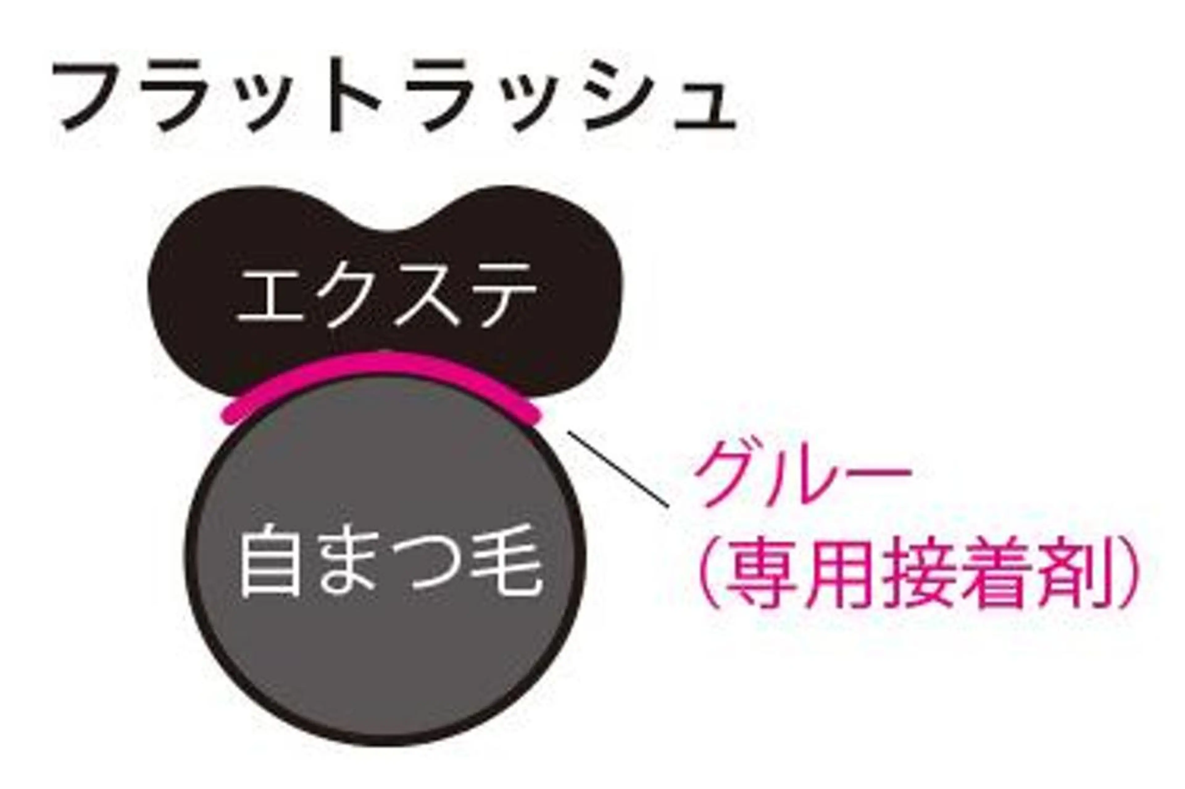 マツエク・マツパ ワンホンデザイン 専門店 FOIのマツエク・マツパデザイン