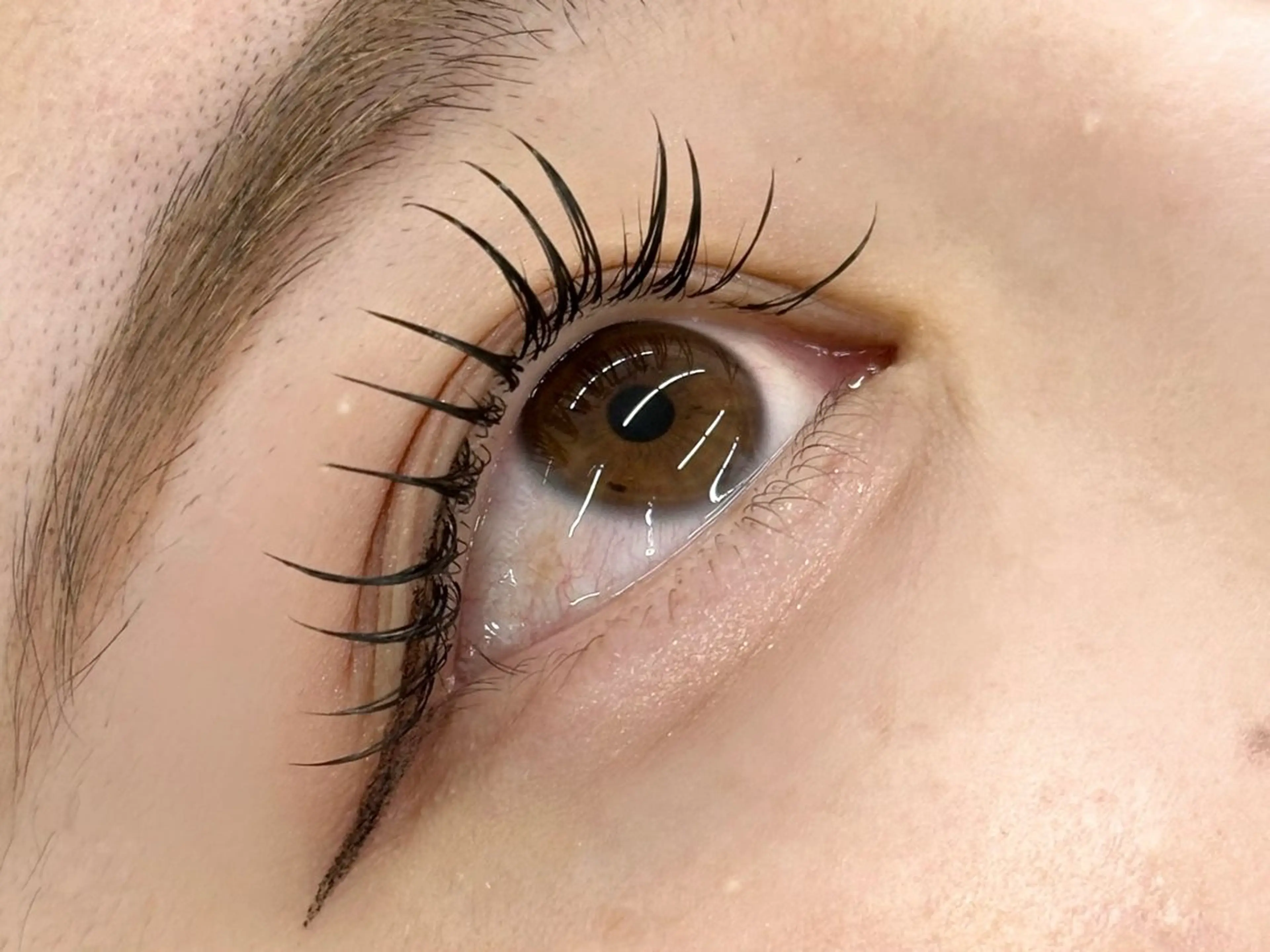 モデル募集LEDフラットラッシュ120本（コーティング付き）の写真