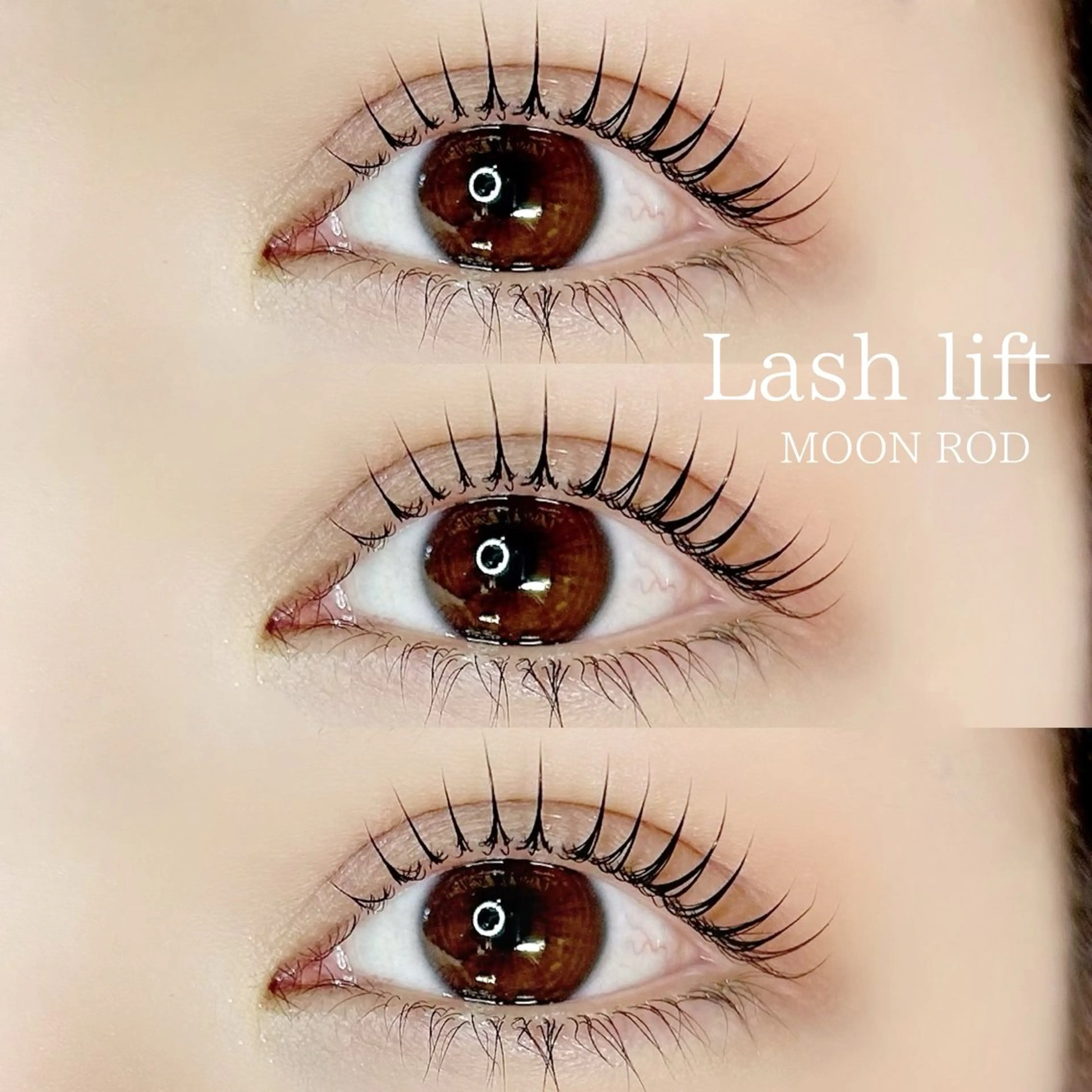 マツエク・マツパ REBOND K モデル募集のマツエク・マツパデザイン