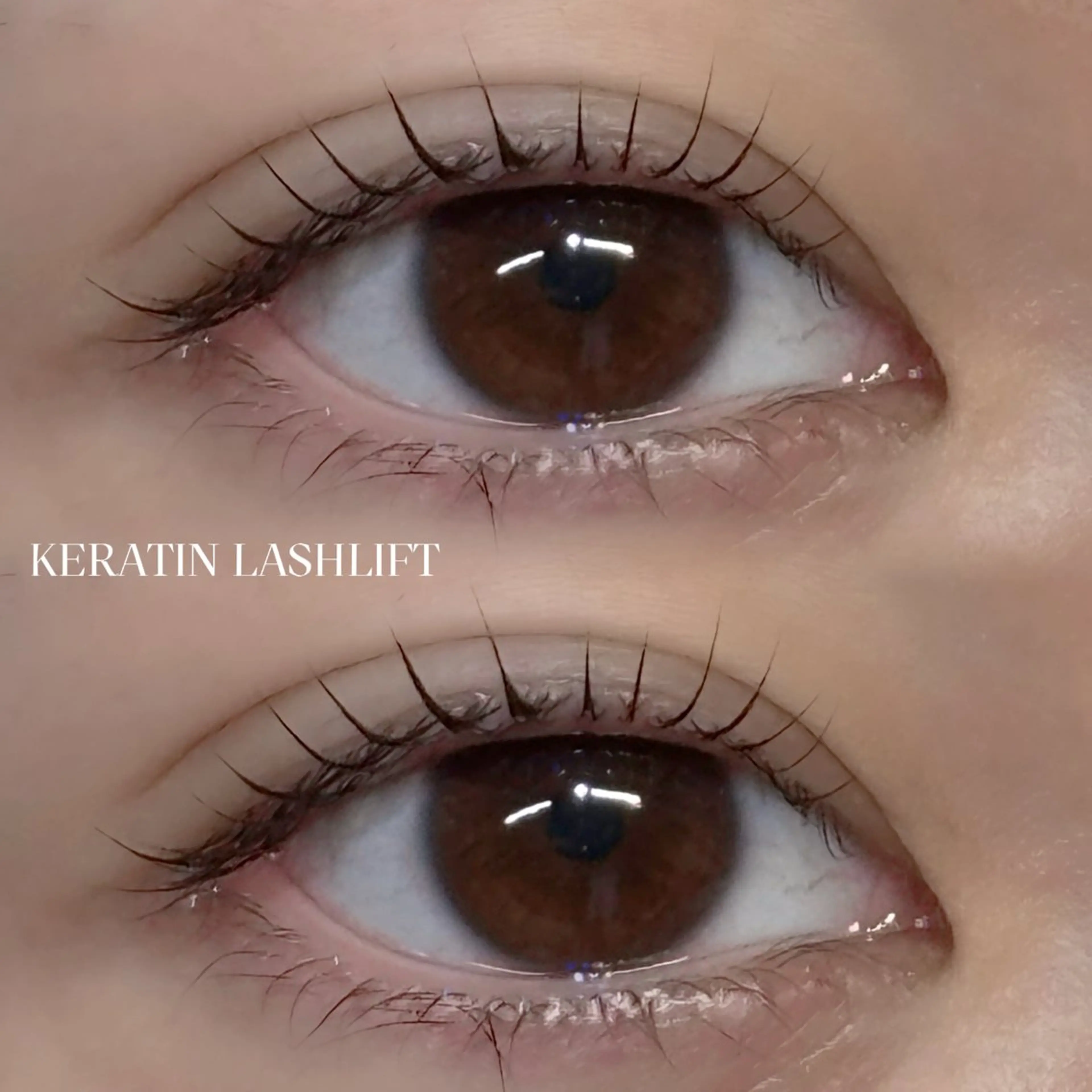 【4月限定🎀】ケラチンラッシュリフト¥2000（モデル価格）の写真