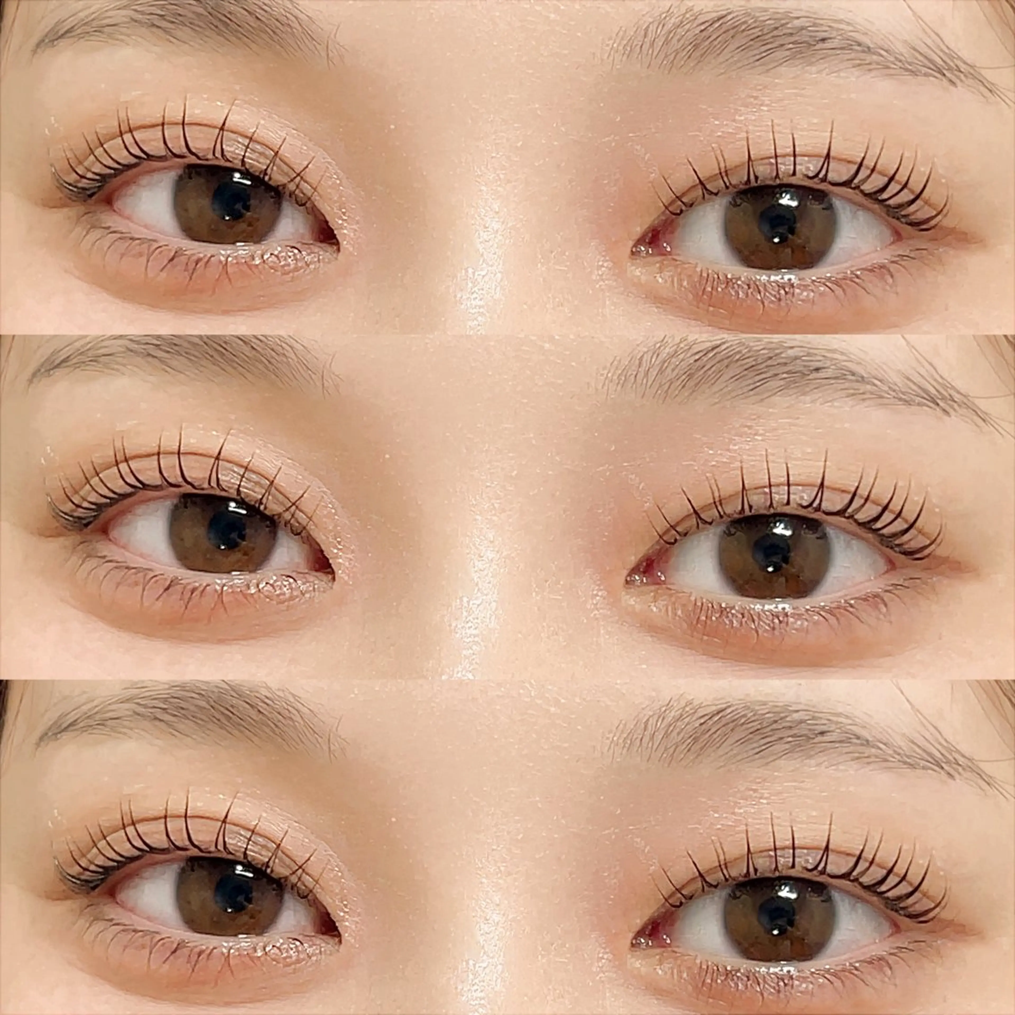 《まつげパーマ》LASH LIFT ＋treatment gelの写真