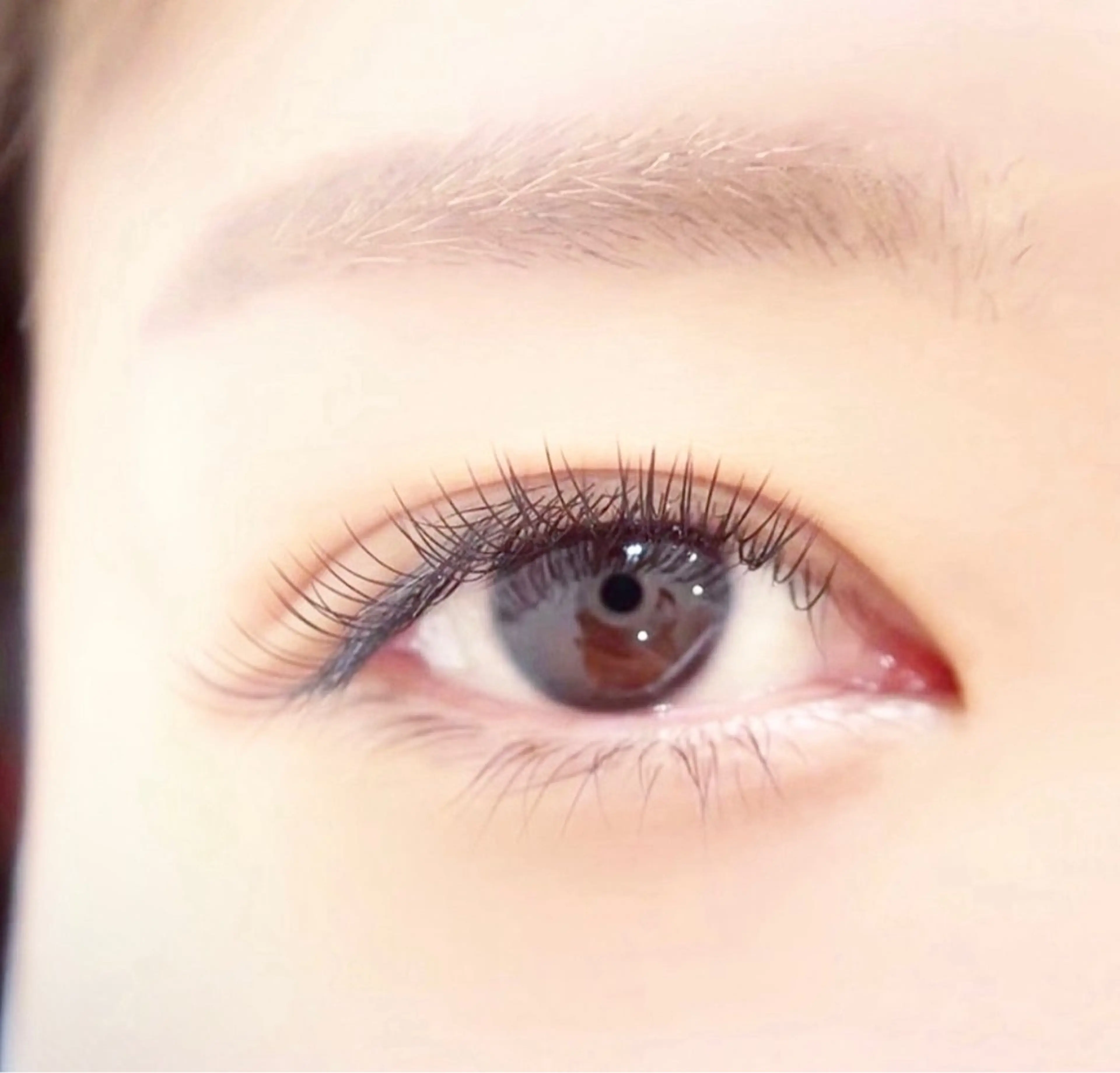 マツエク・マツパ フラットラッシュ マツエク Moeil. /ﾓｲﾕのマツエク・マツパデザイン