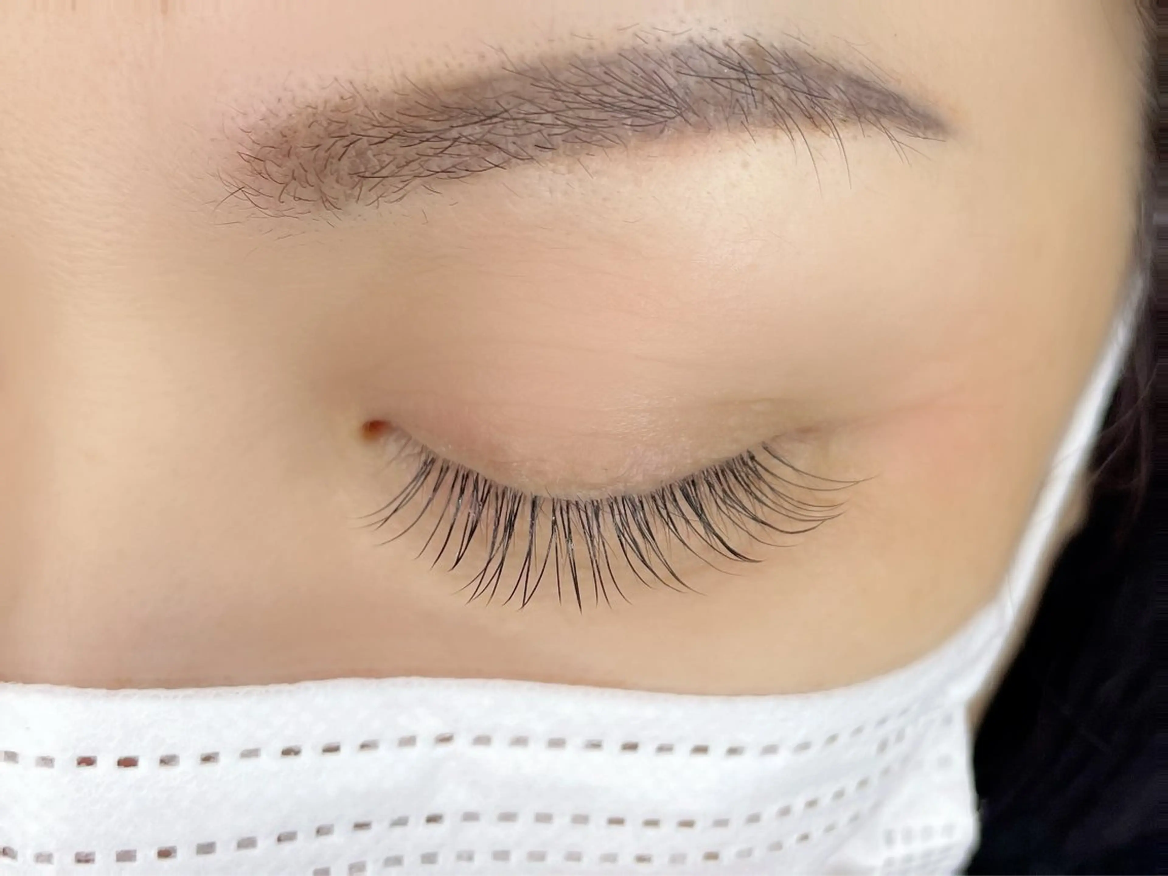 フラットラッシュ60本の写真