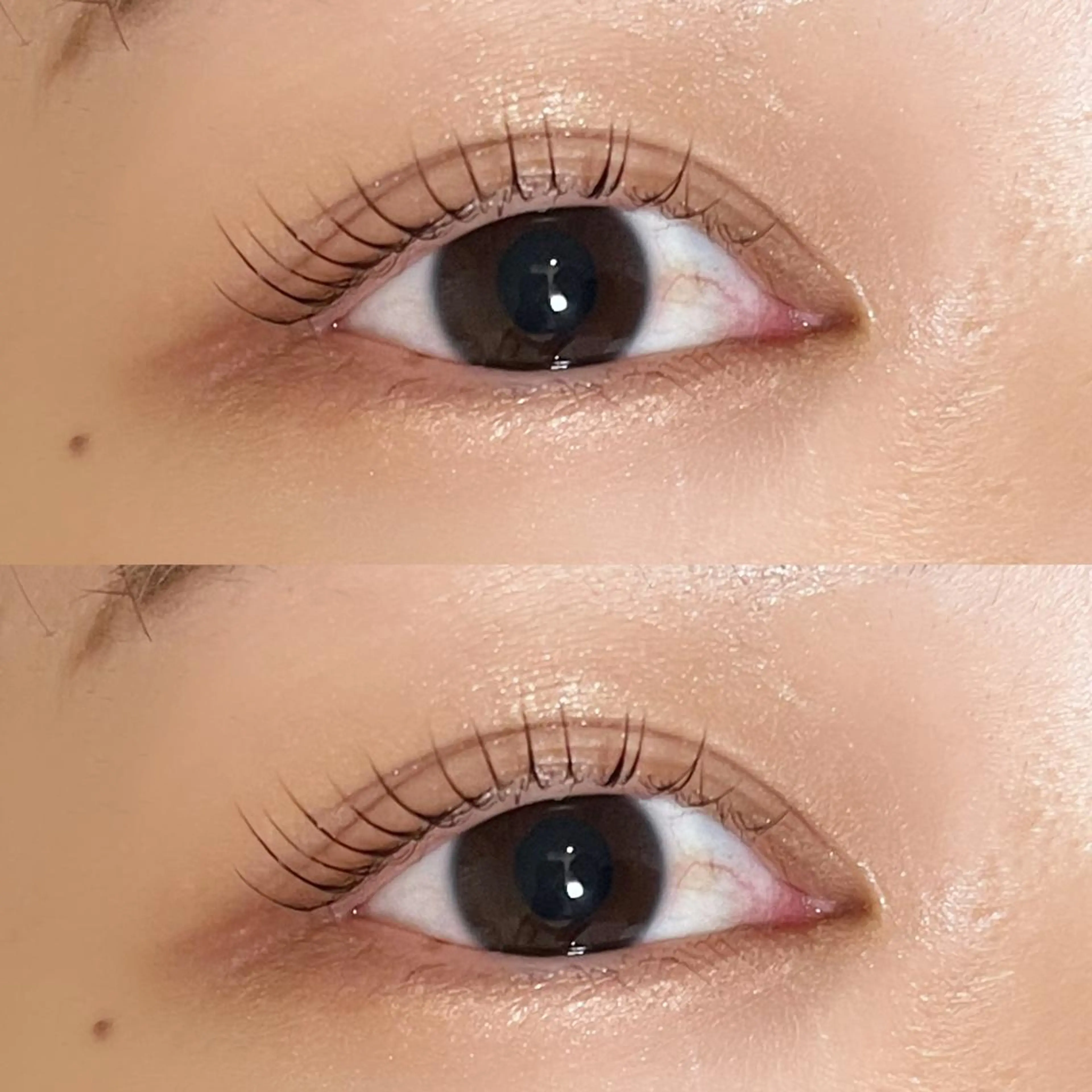 マツエク・マツパ ケラチンラッシュリフト HOLOHOLONA 町田のマツエク・マツパデザイン