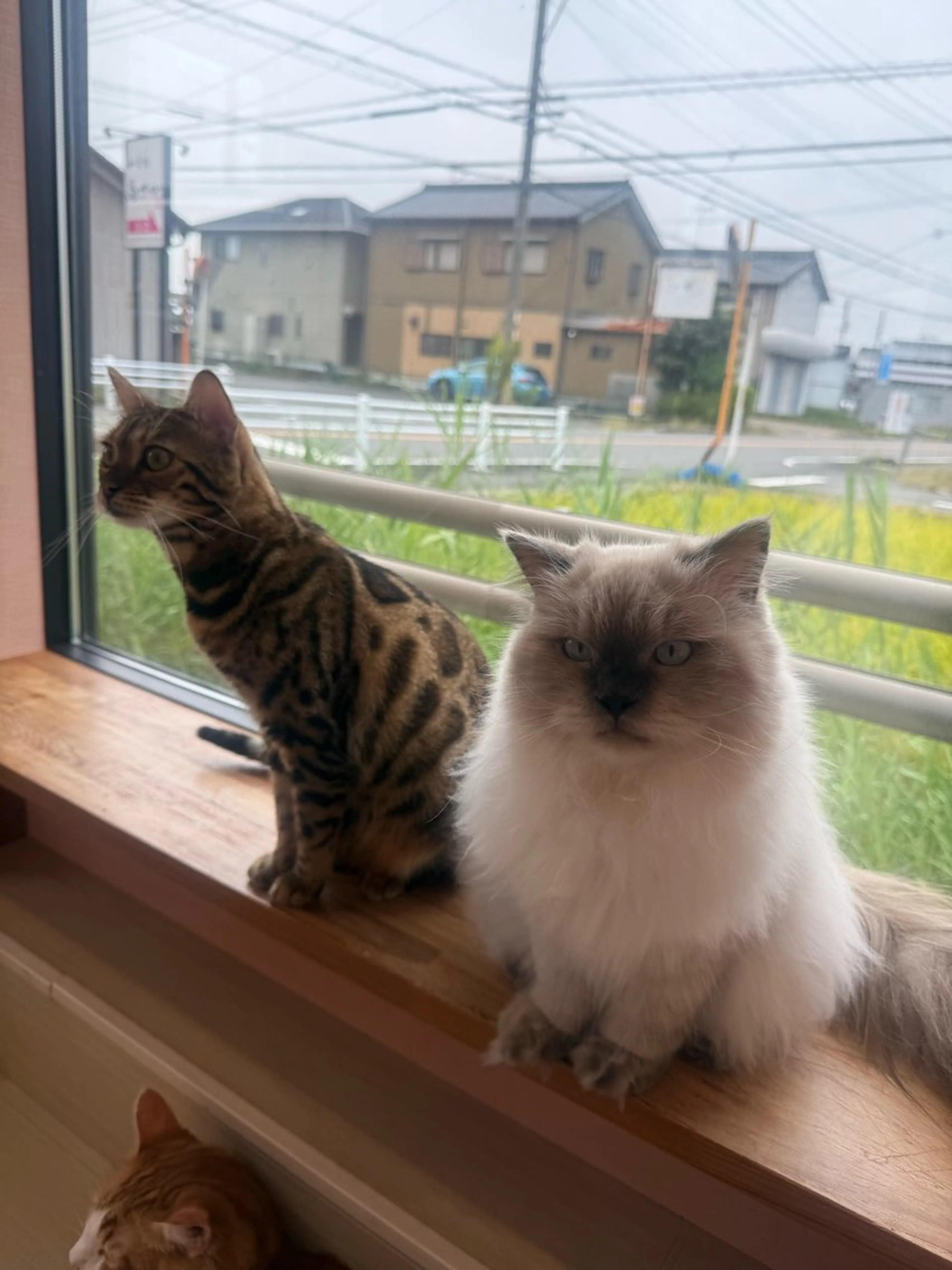 メナード丸の内ヒルズ 柳田りさのエステ・リラクイメージ