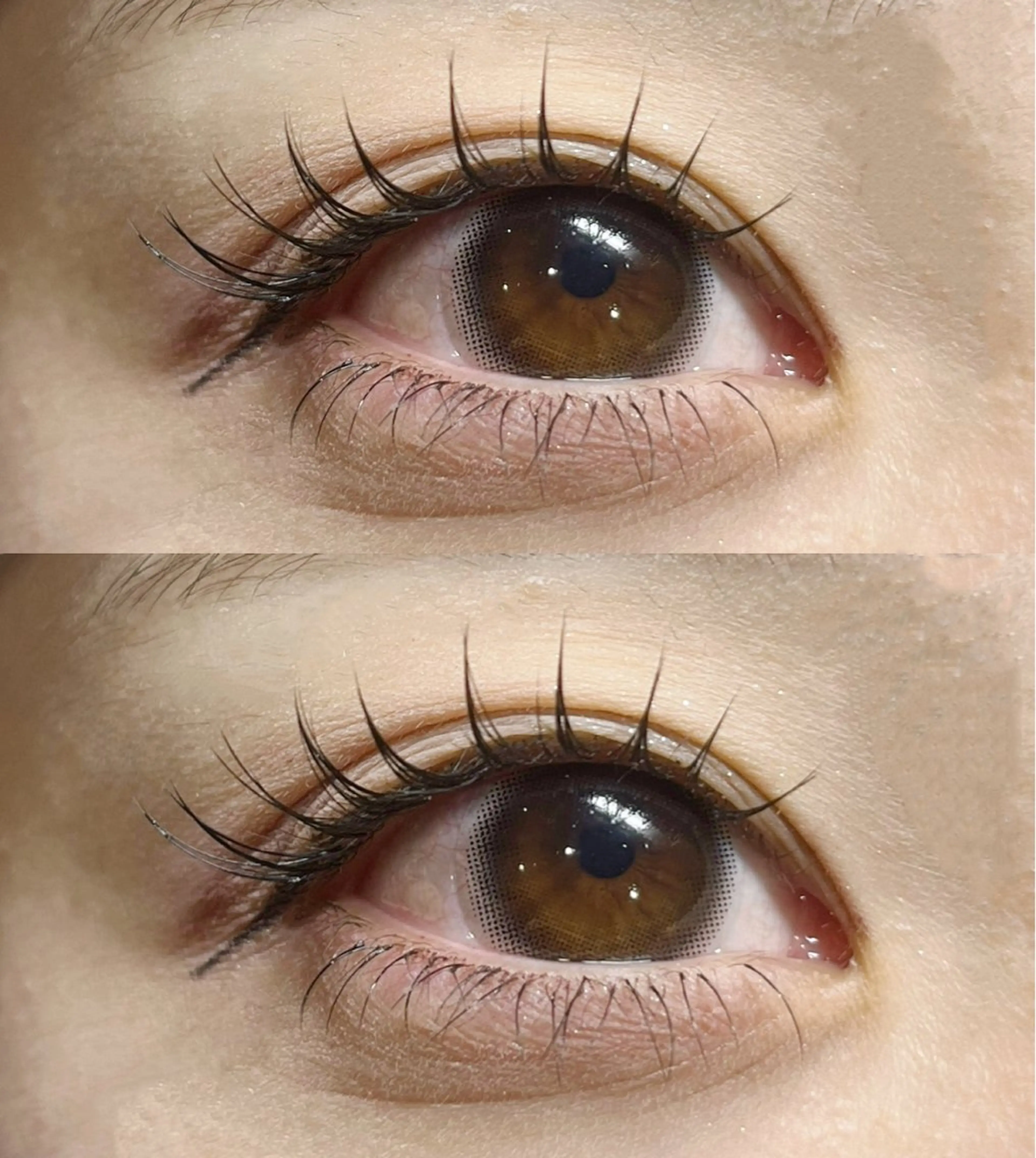 🫧マツエク最高級セーブル100本の写真