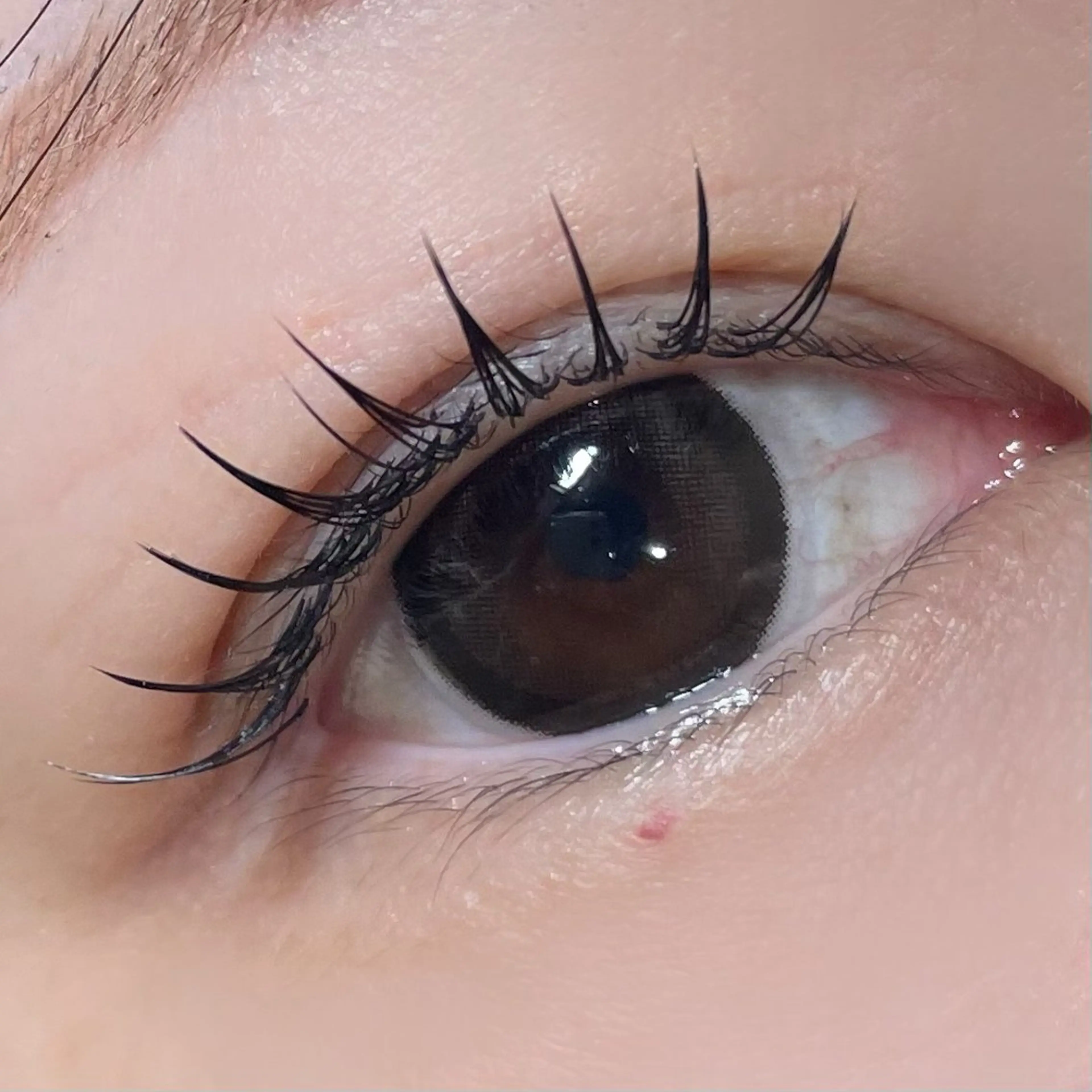 マツエク・マツパ salut ayakaのマツエク・マツパデザイン