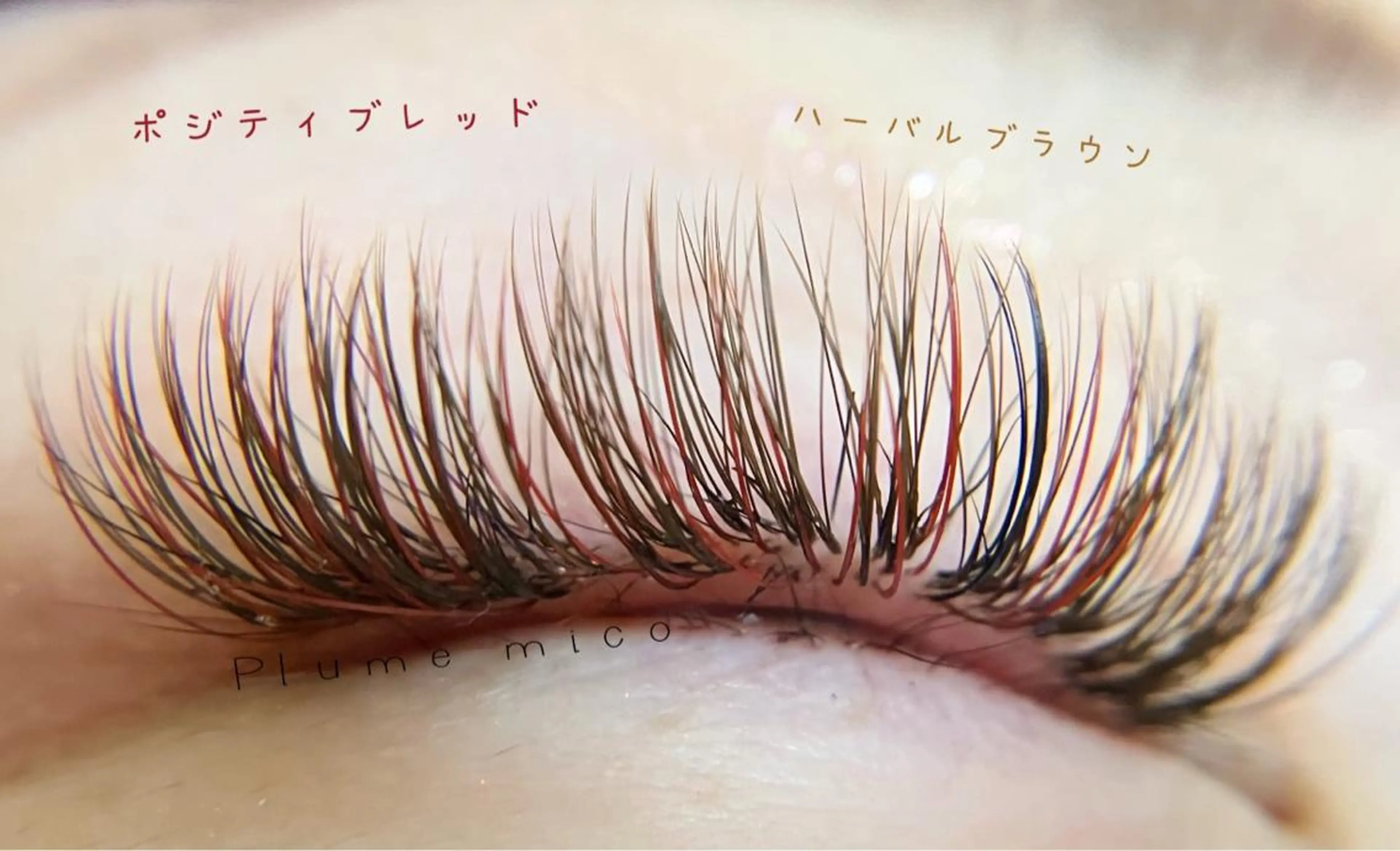 マツエク・マツパ カラーマツエク マツエク Plume micoのマツエク・マツパデザイン