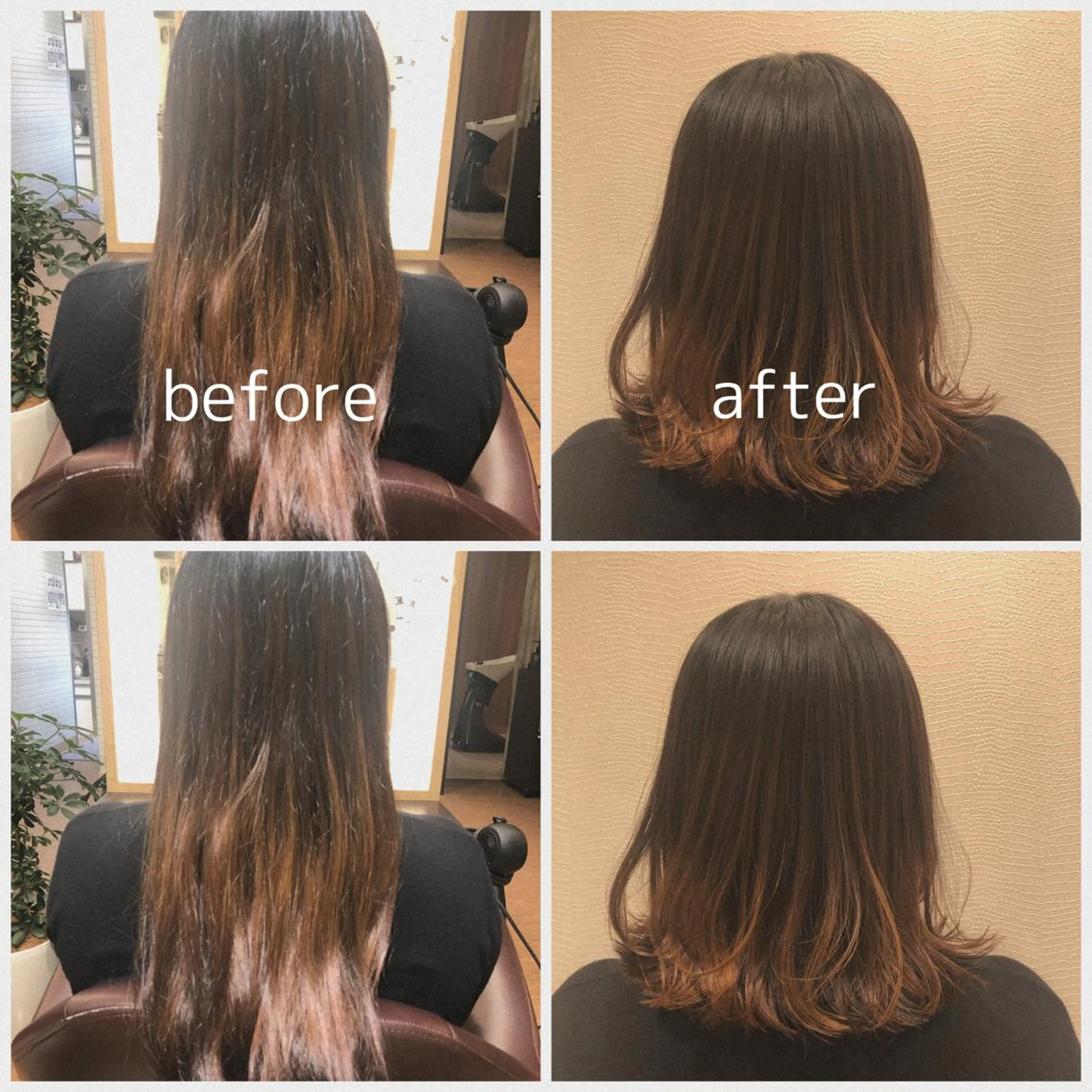 ミディアム トレンド眉🌈✨ megumiのマツエク・マツパデザイン