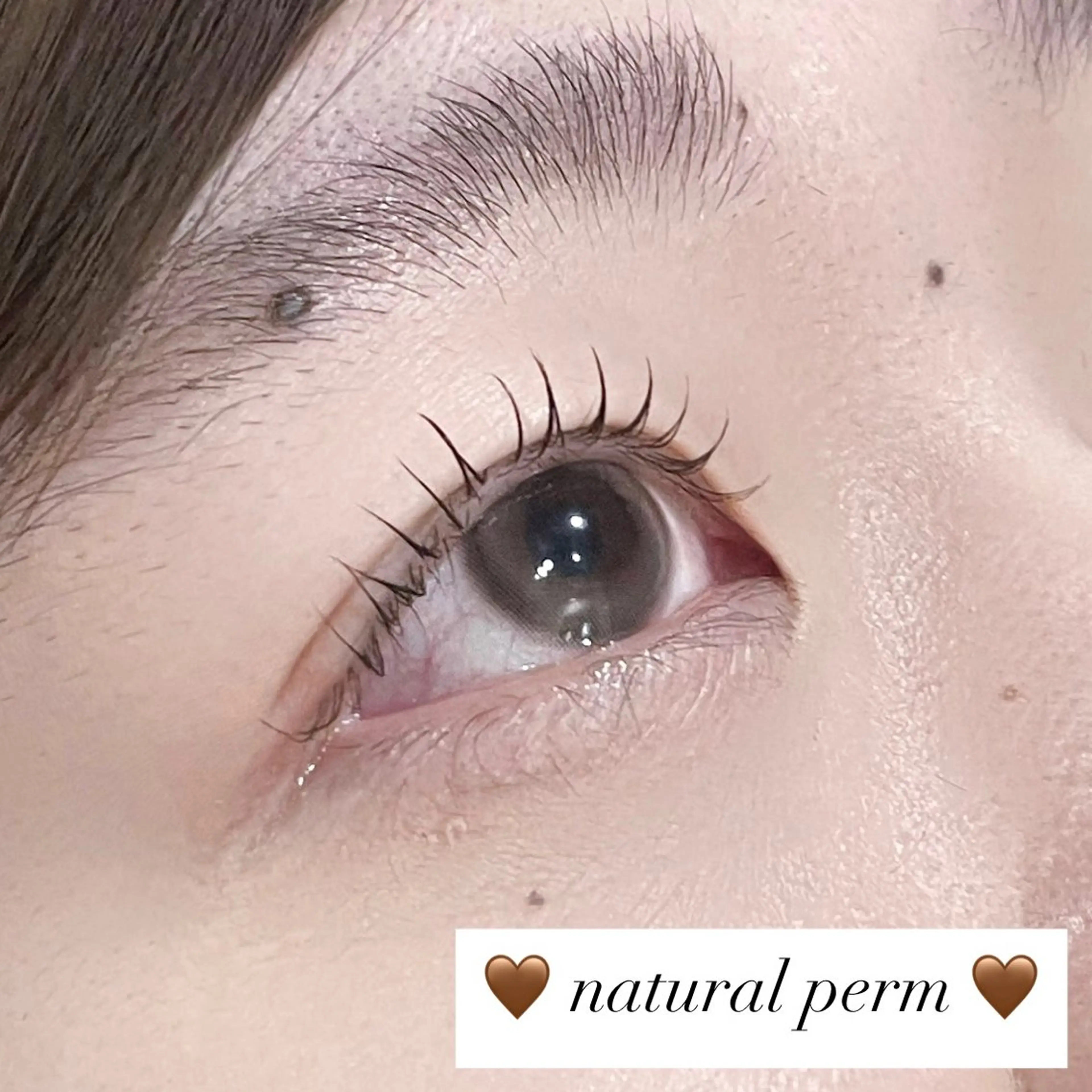 Jr.アイリスト まつげパーマ ౨ৎ︎.の写真