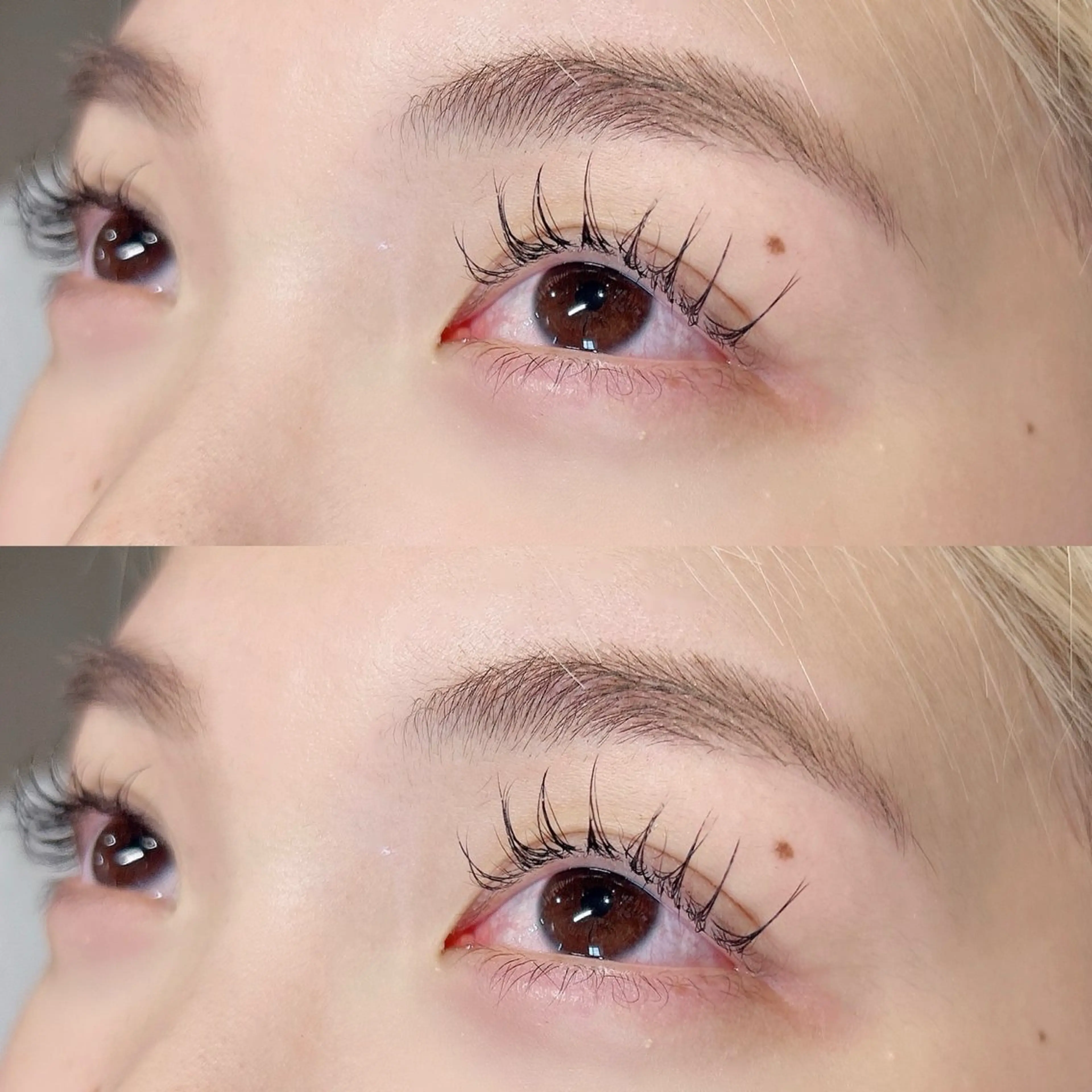 シングルラッシュ[まつげエクステ]80本～120本の写真