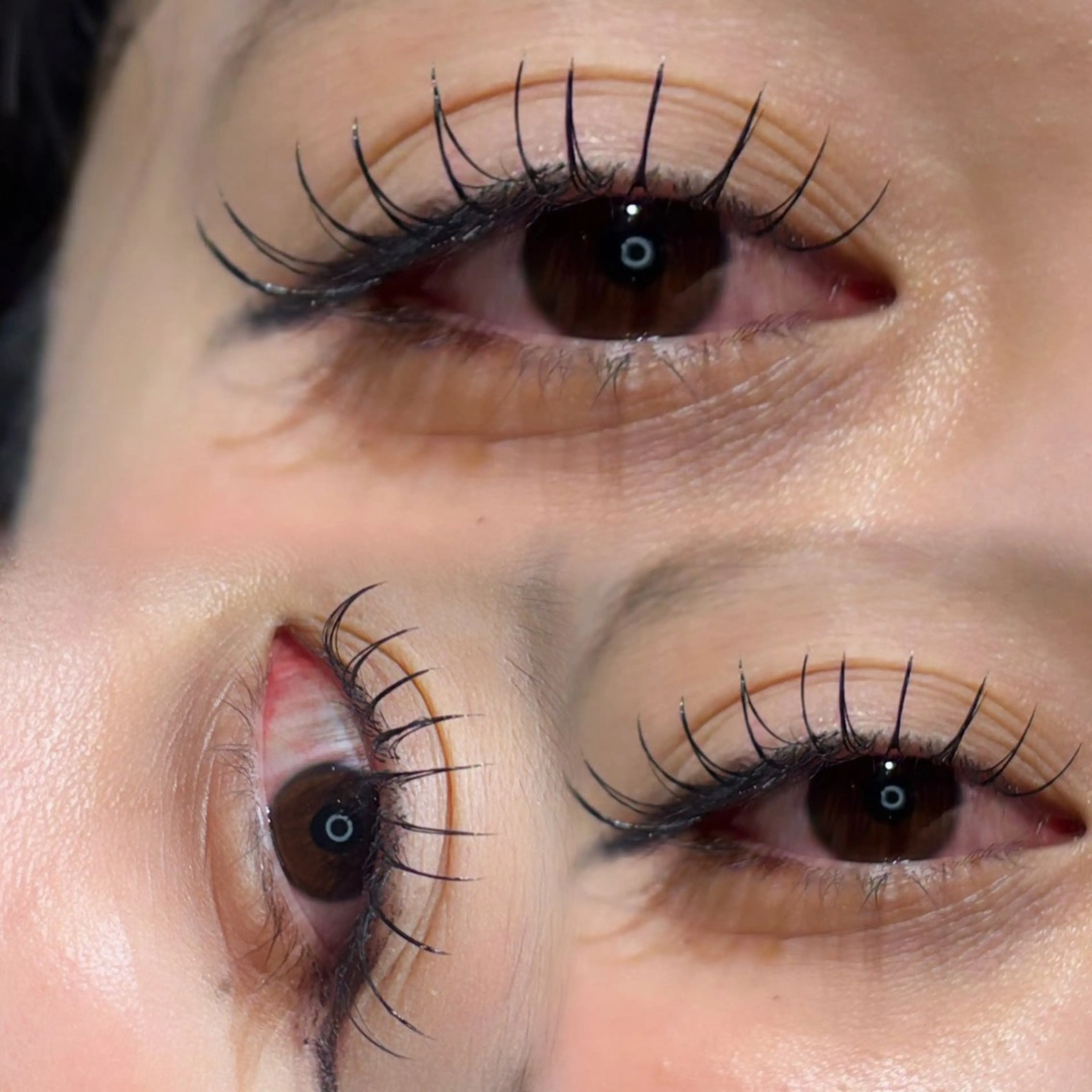 マツエク・マツパ DOLCE川越店✧︎ MAIのマツエク・マツパデザイン