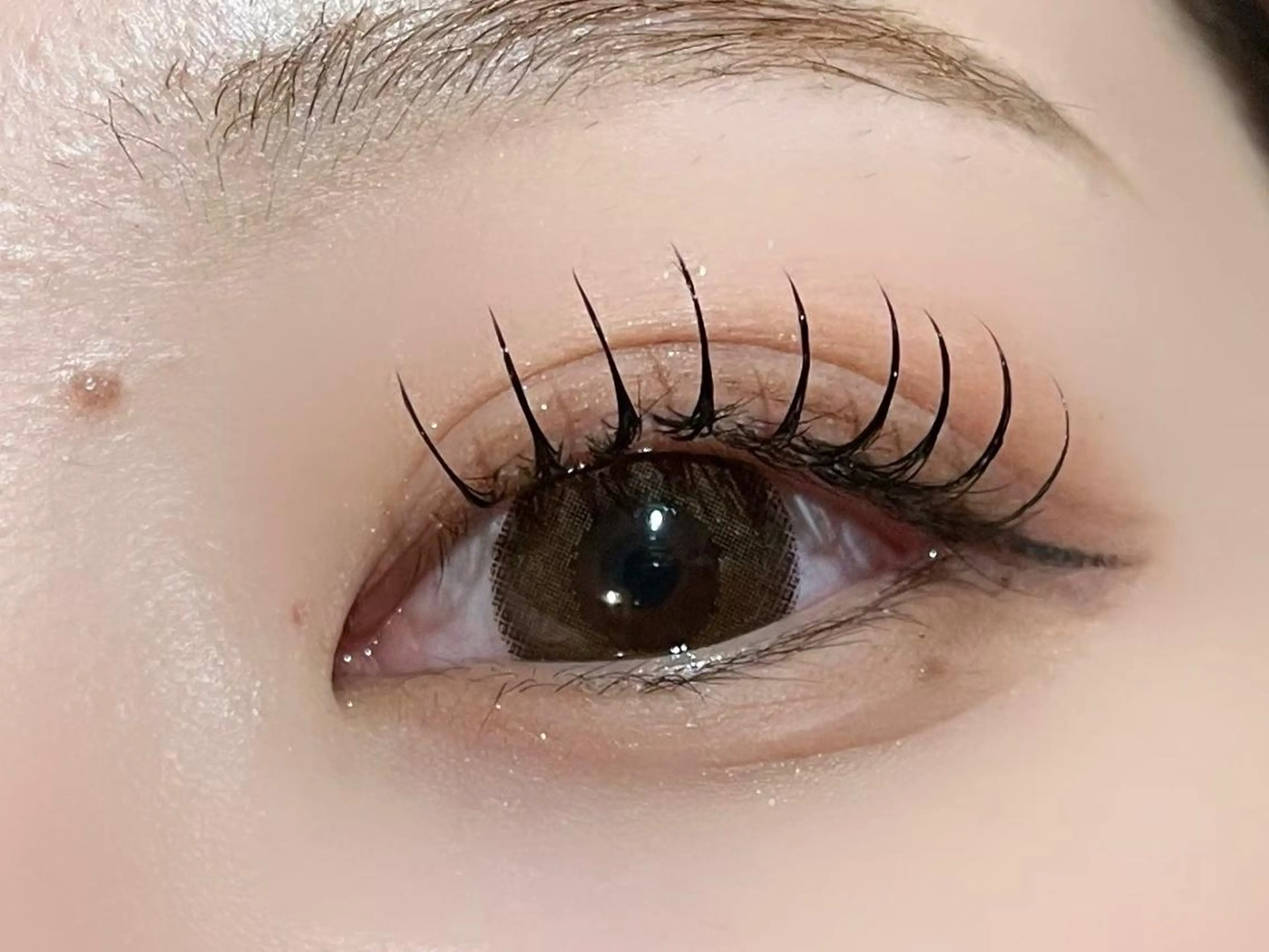 マツエク・マツパ マツエク 🎀韓国風まつげ🎀 KIRA🎀の眉毛・アイブロウイメージ