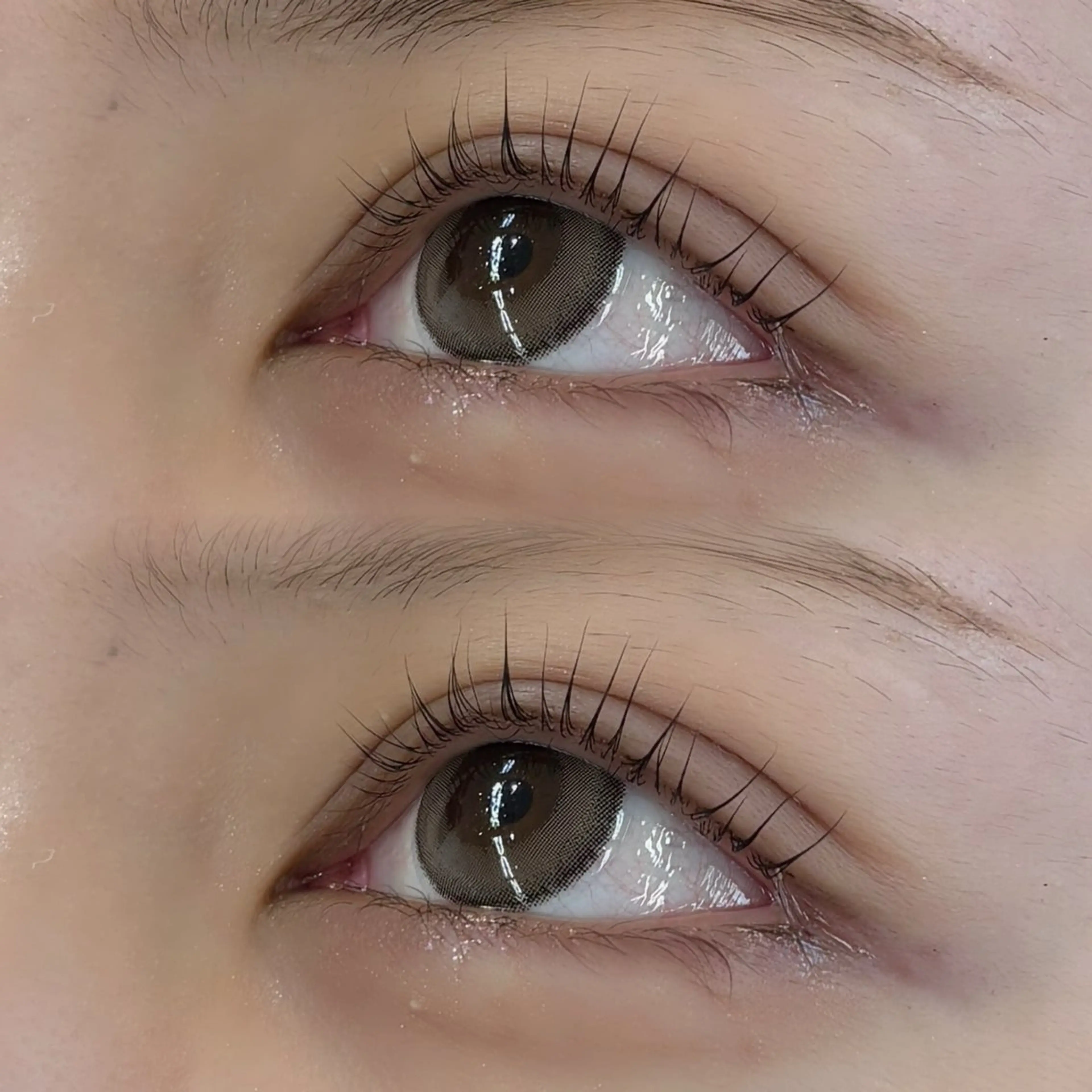 【U24】パリジェンヌ👀✨　　　　　　　　　　　　　　　束間美容液コーティング付き🎀の写真