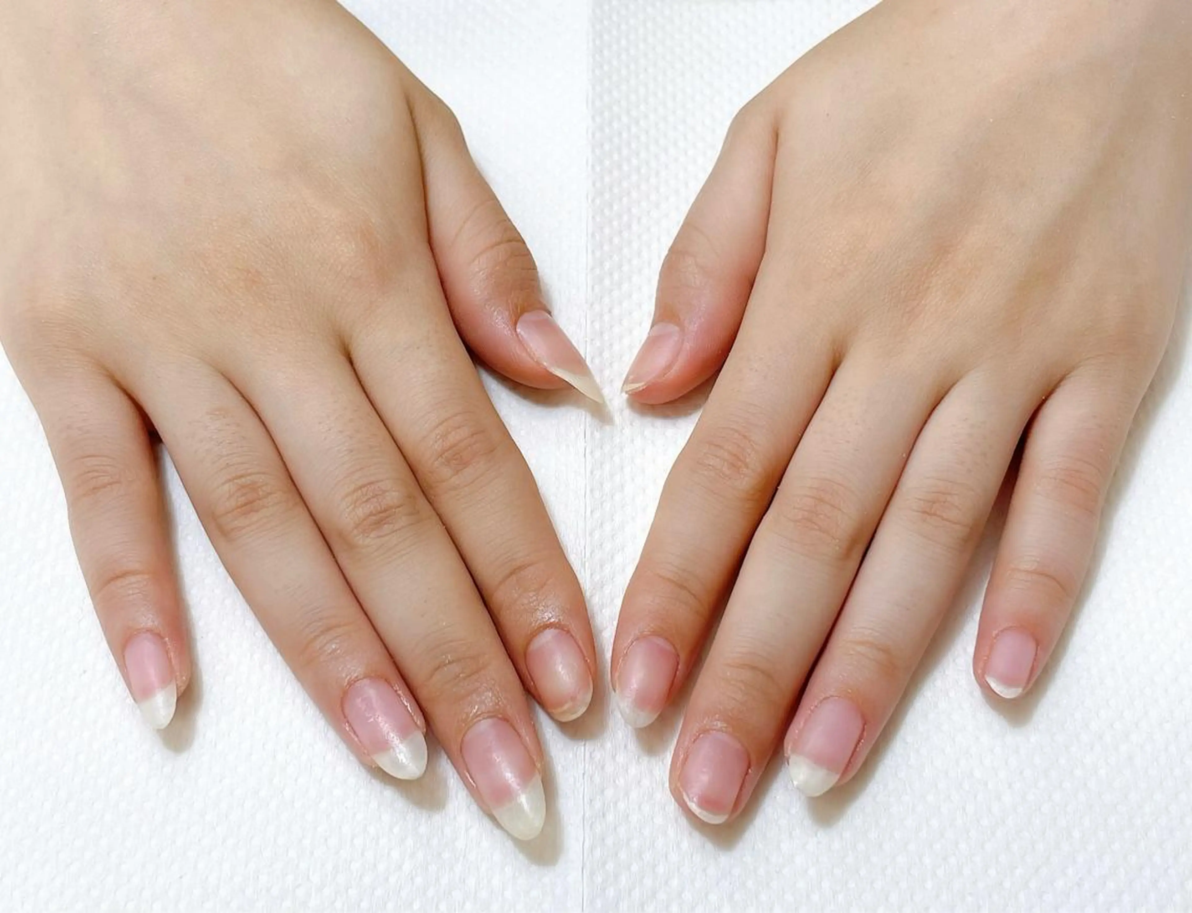 ネイル スカルプネイル 前田 優佳のネイルデザイン