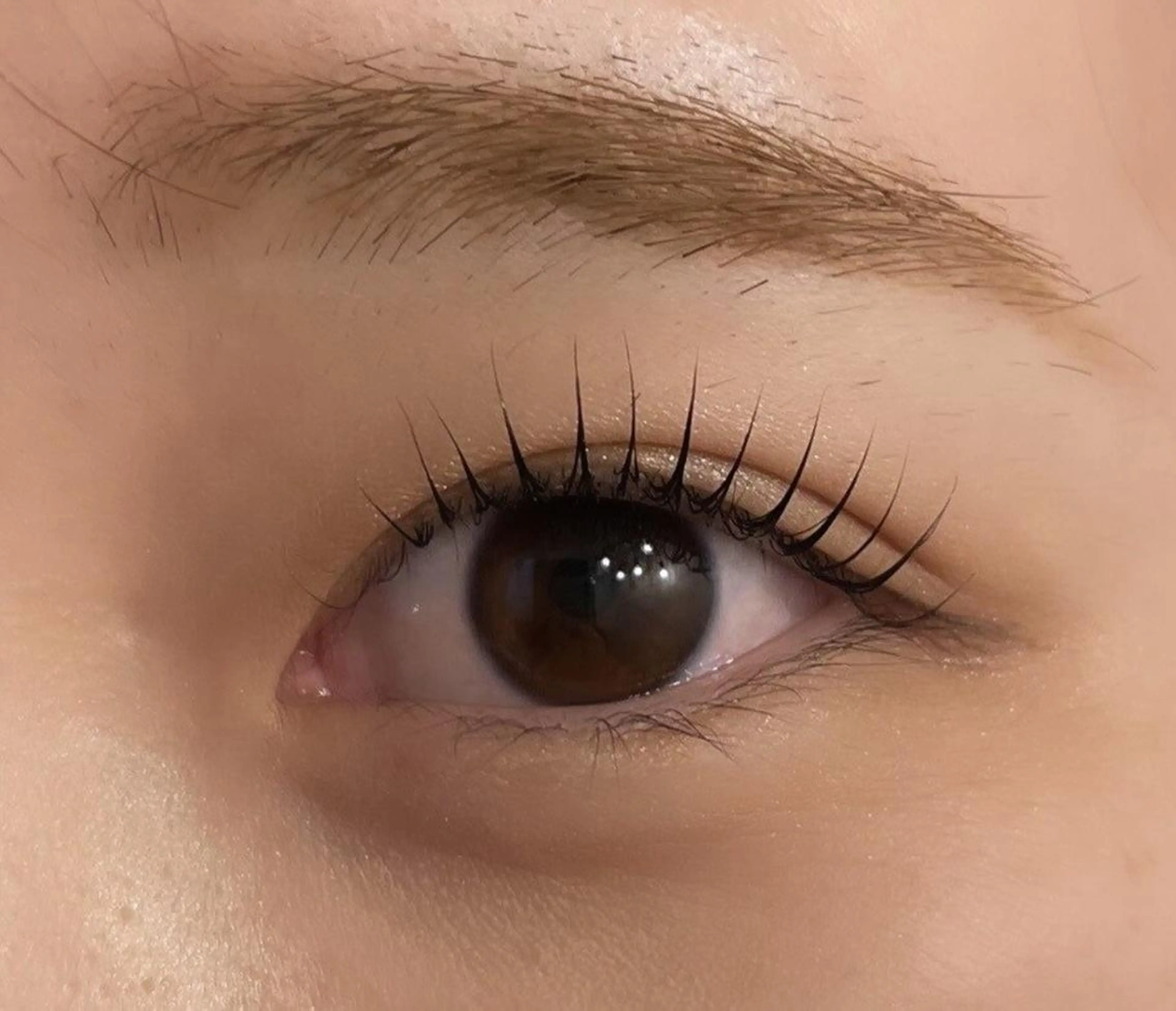 [🍩韓国風まつげパーマ🍩]の写真