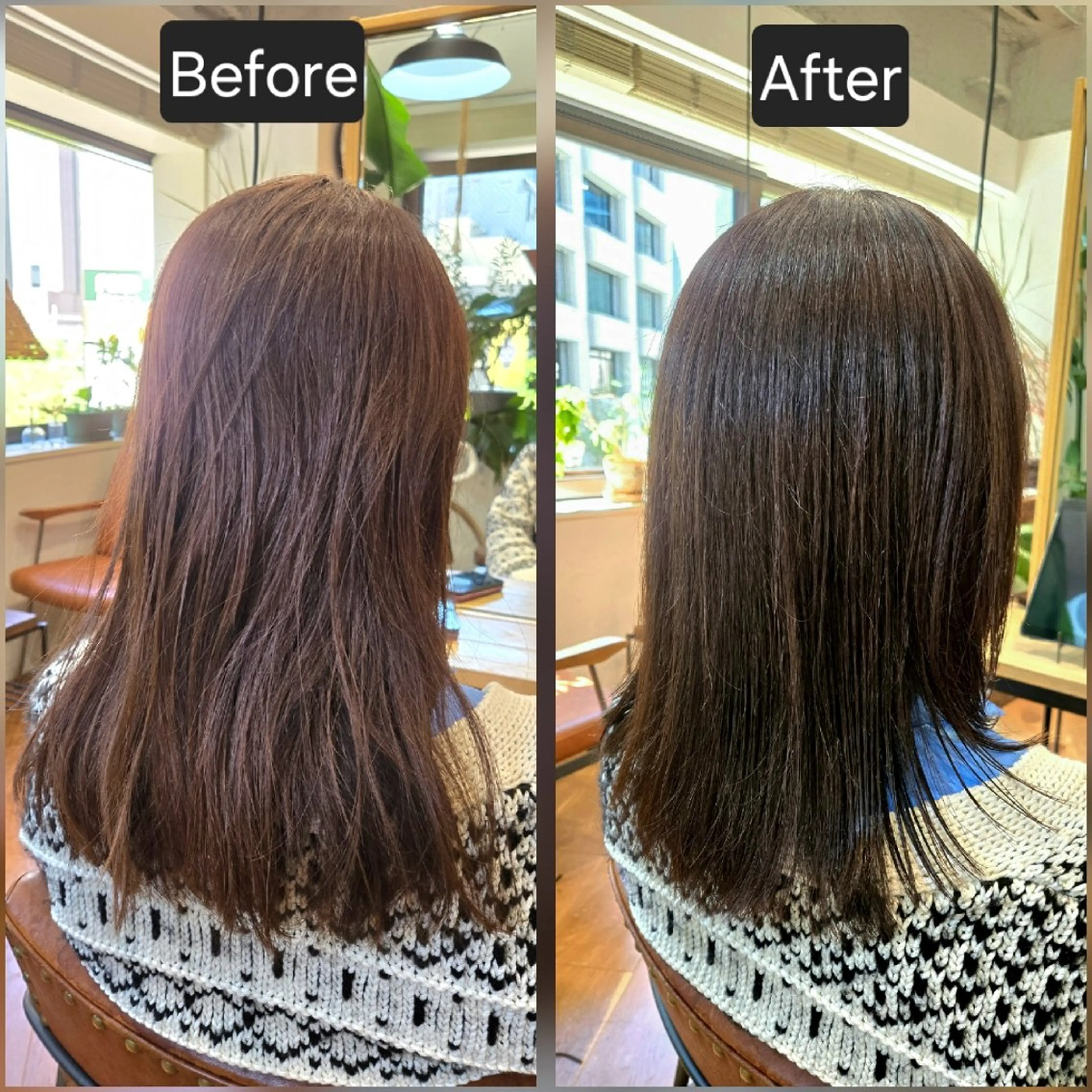 ミディアム トリートメント カット ヘアカラー 銀座knoll🌿 【平日朝限定cut】のヘアスタイル