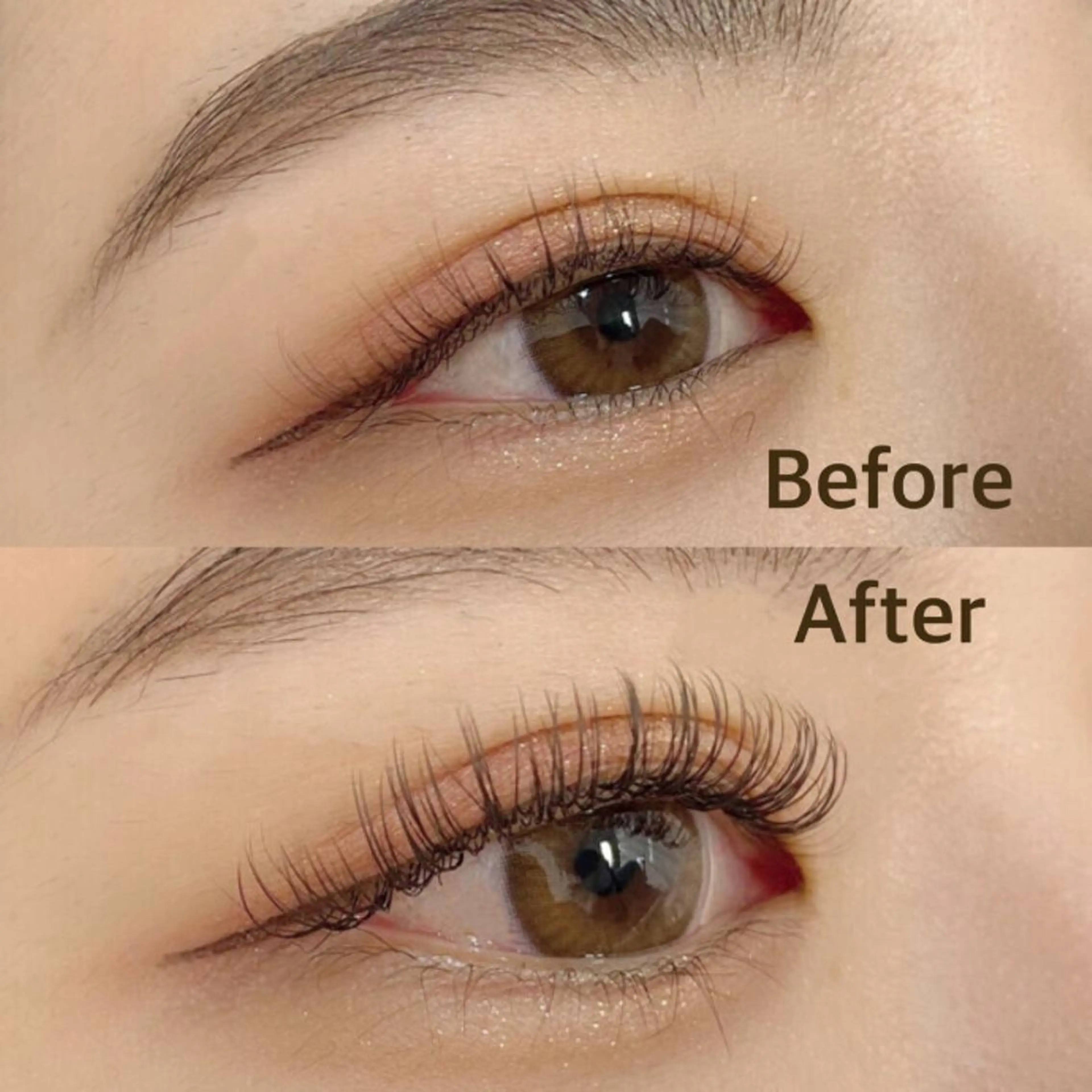 軽量フラットラッシュ100本の写真