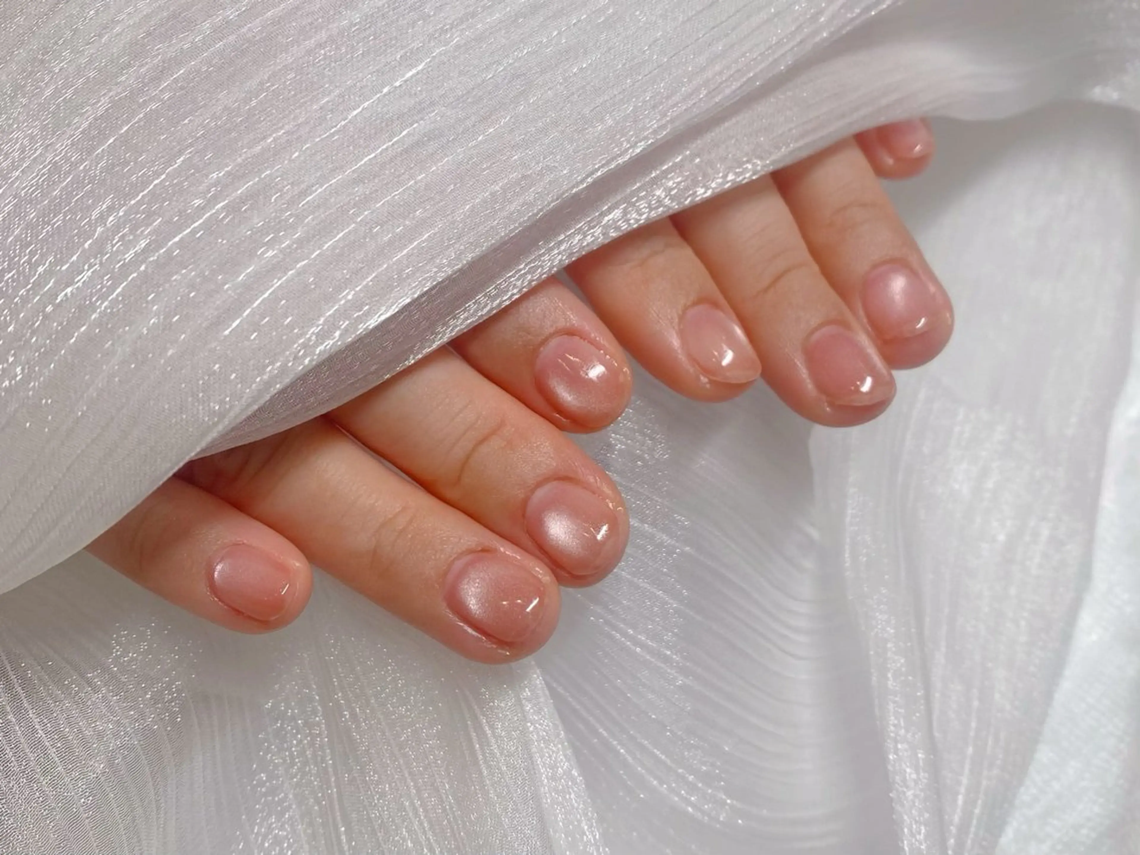 ラメ、マグネットワンカラー(オフあり)の写真