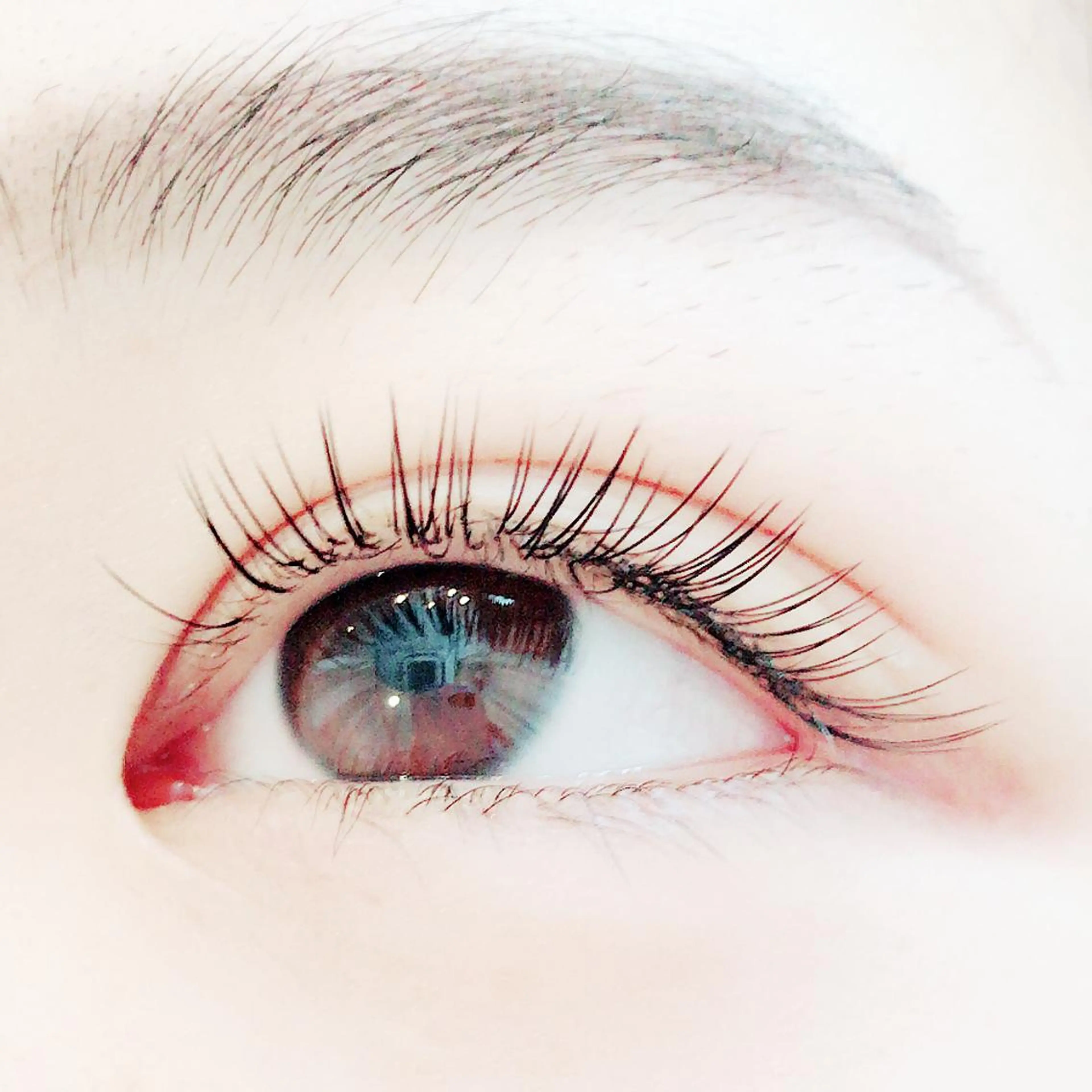 【4/2限定】フラットラッシュ上まつ毛120本/オフ込み※但しLEDオフ不可の写真