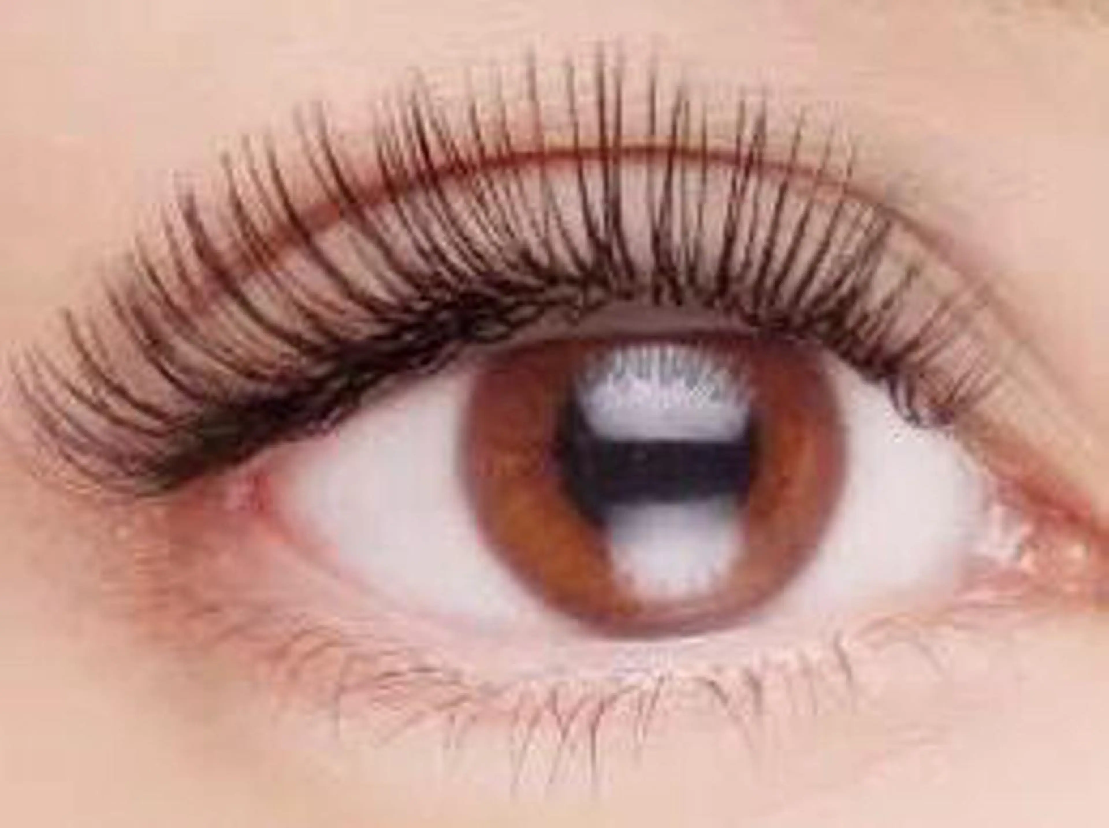 マツエク・マツパ マツエク White eye 金沢店のマツエク・マツパデザイン