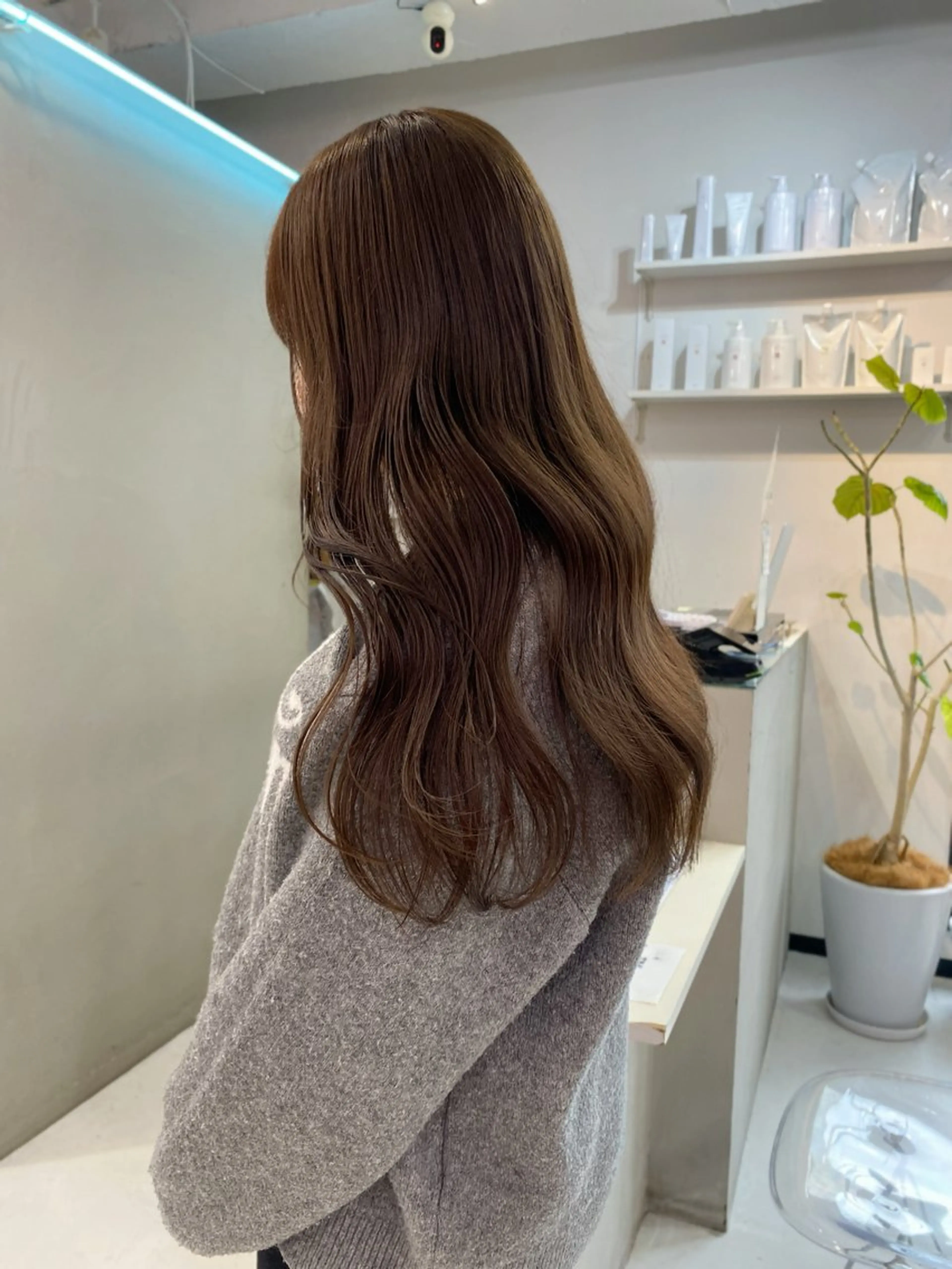 🫧人気Ｎｏ.1🫧髪質改善超音波トリートメント＋カット＋髪質改善イルミナカラーの写真