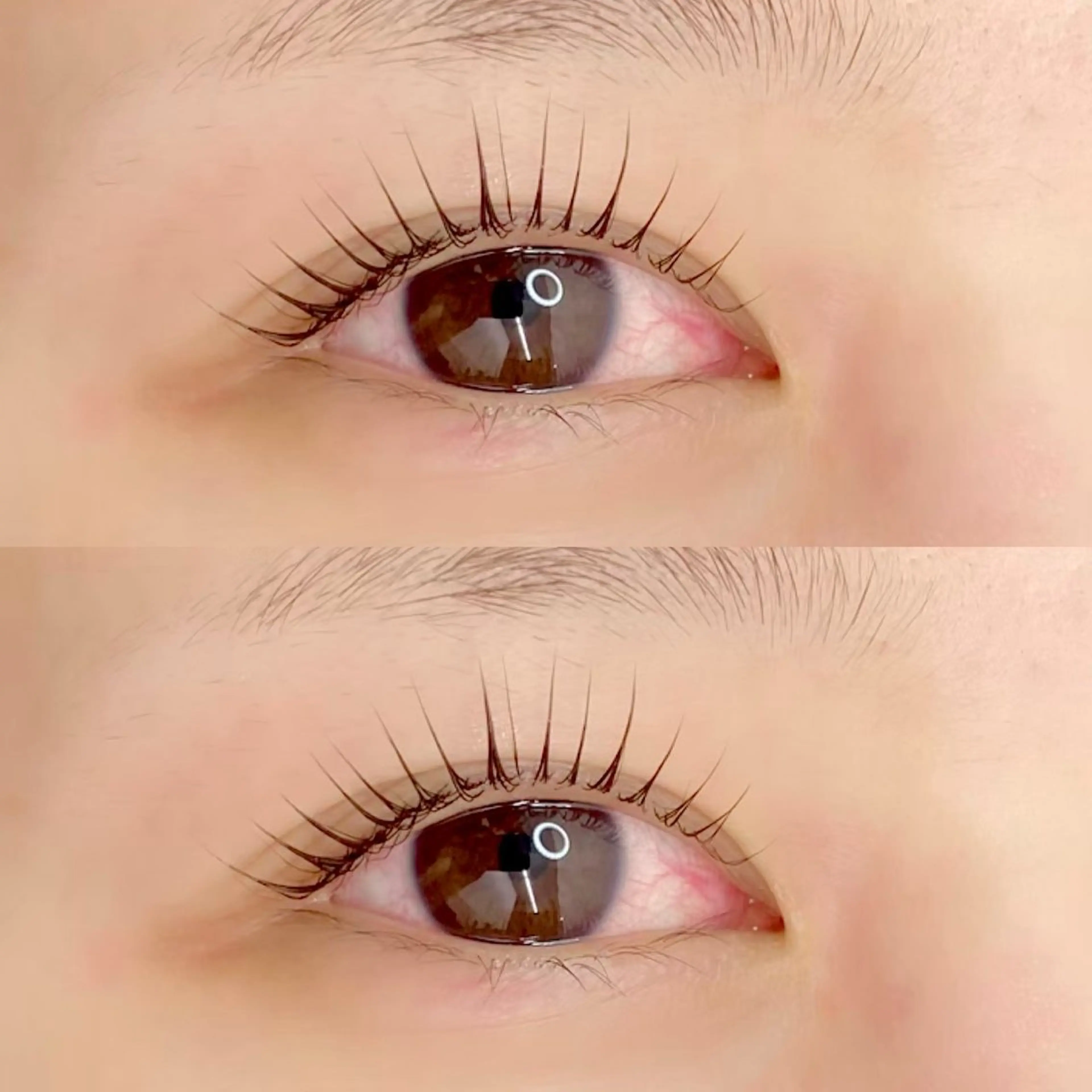 パリジェンヌの写真