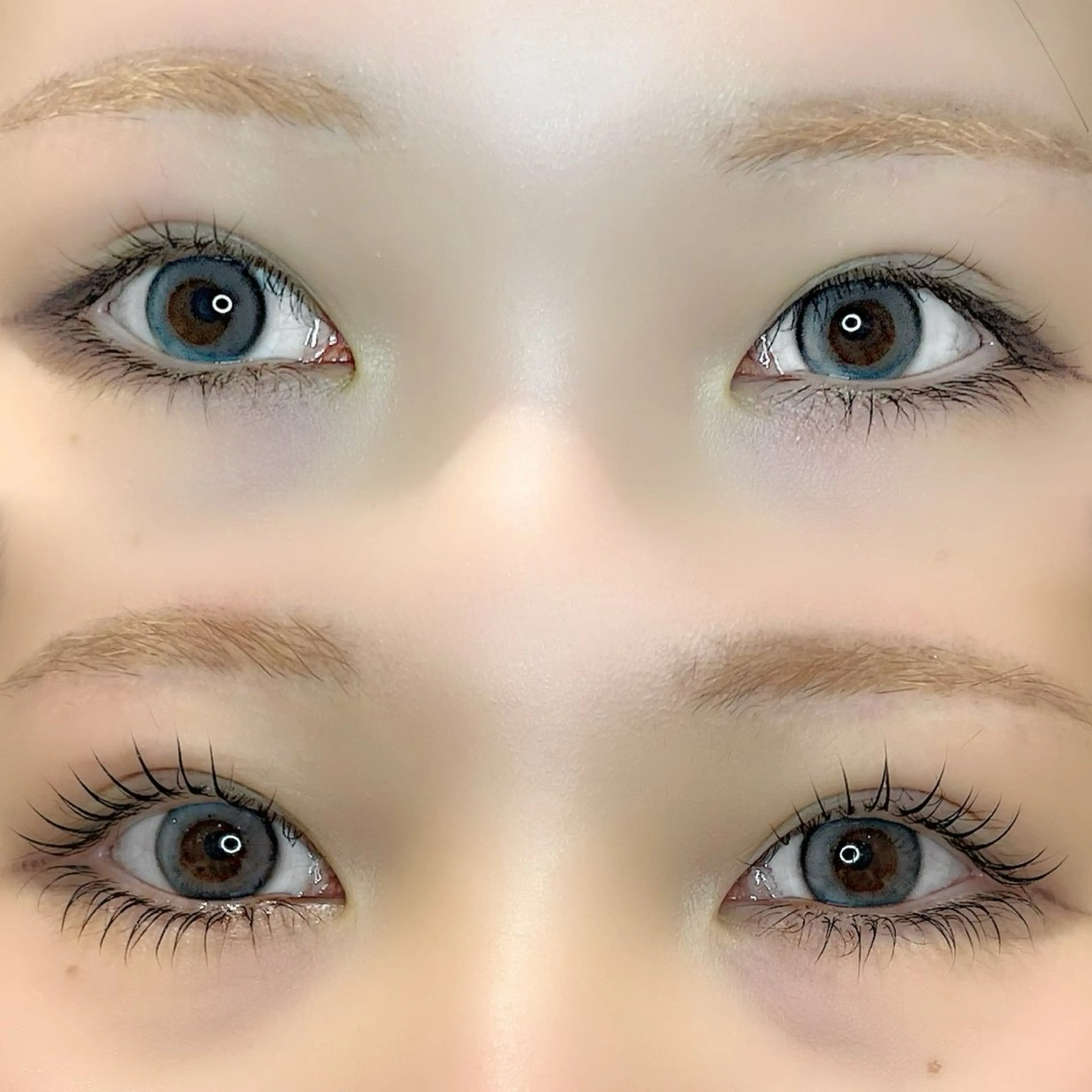 【🌸4月限定🌸中顔面短縮】下まつげパーマ☪️の写真