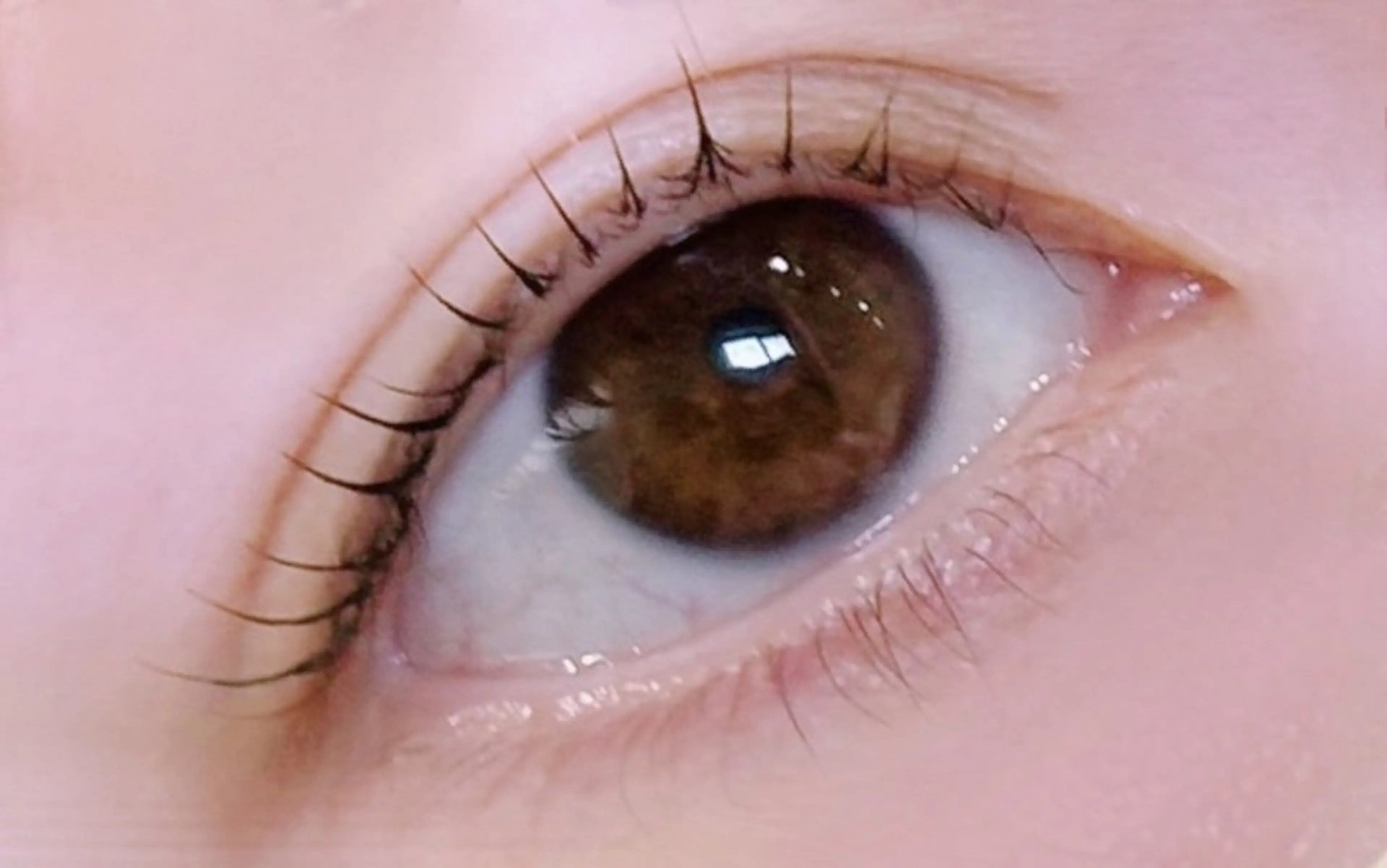 マツエク・マツパ 束感まつ毛 JOJO【 kaneko◡̈*】のマツエク・マツパデザイン