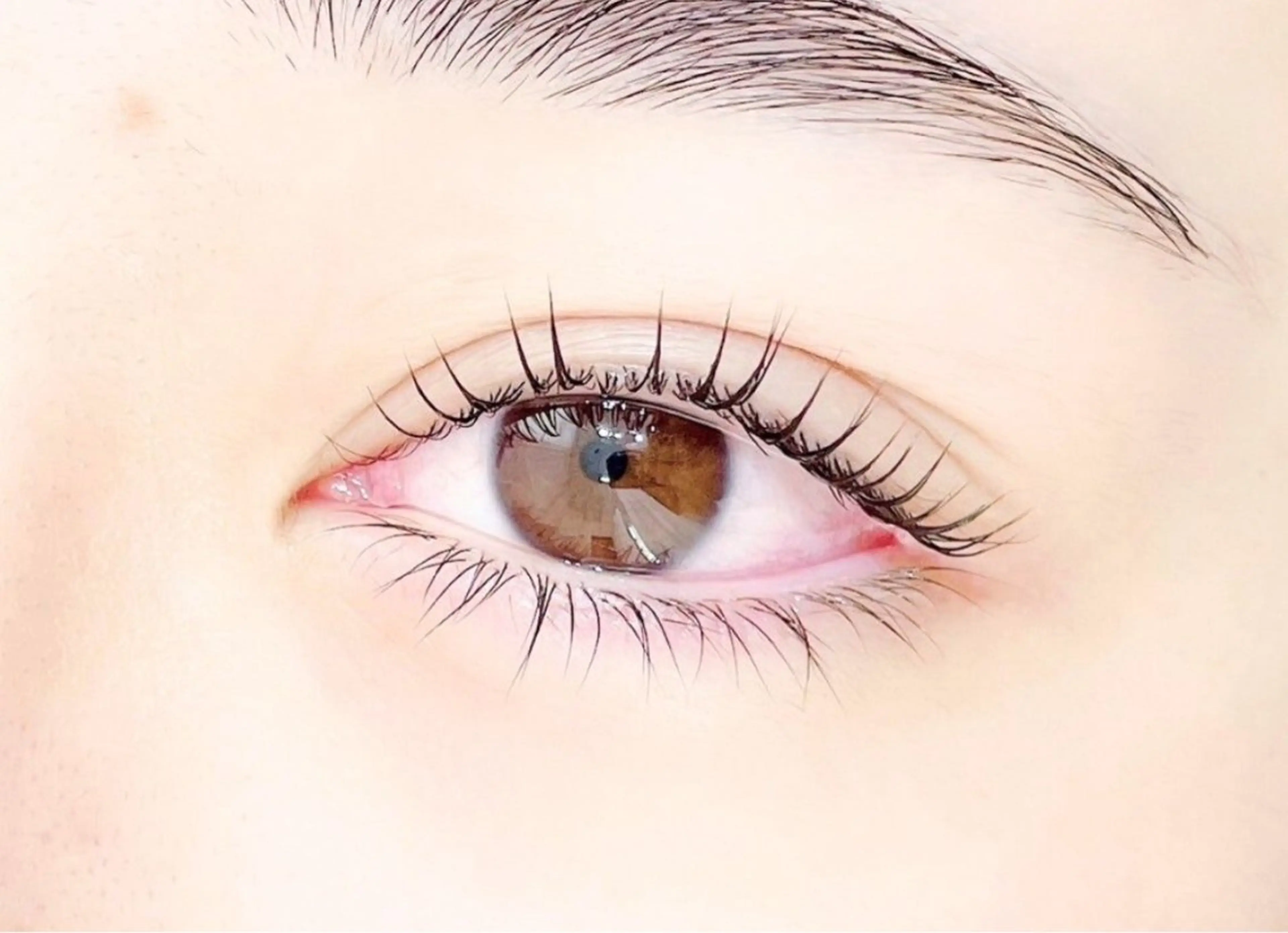 ふんわりまつ毛パーマ上下の写真