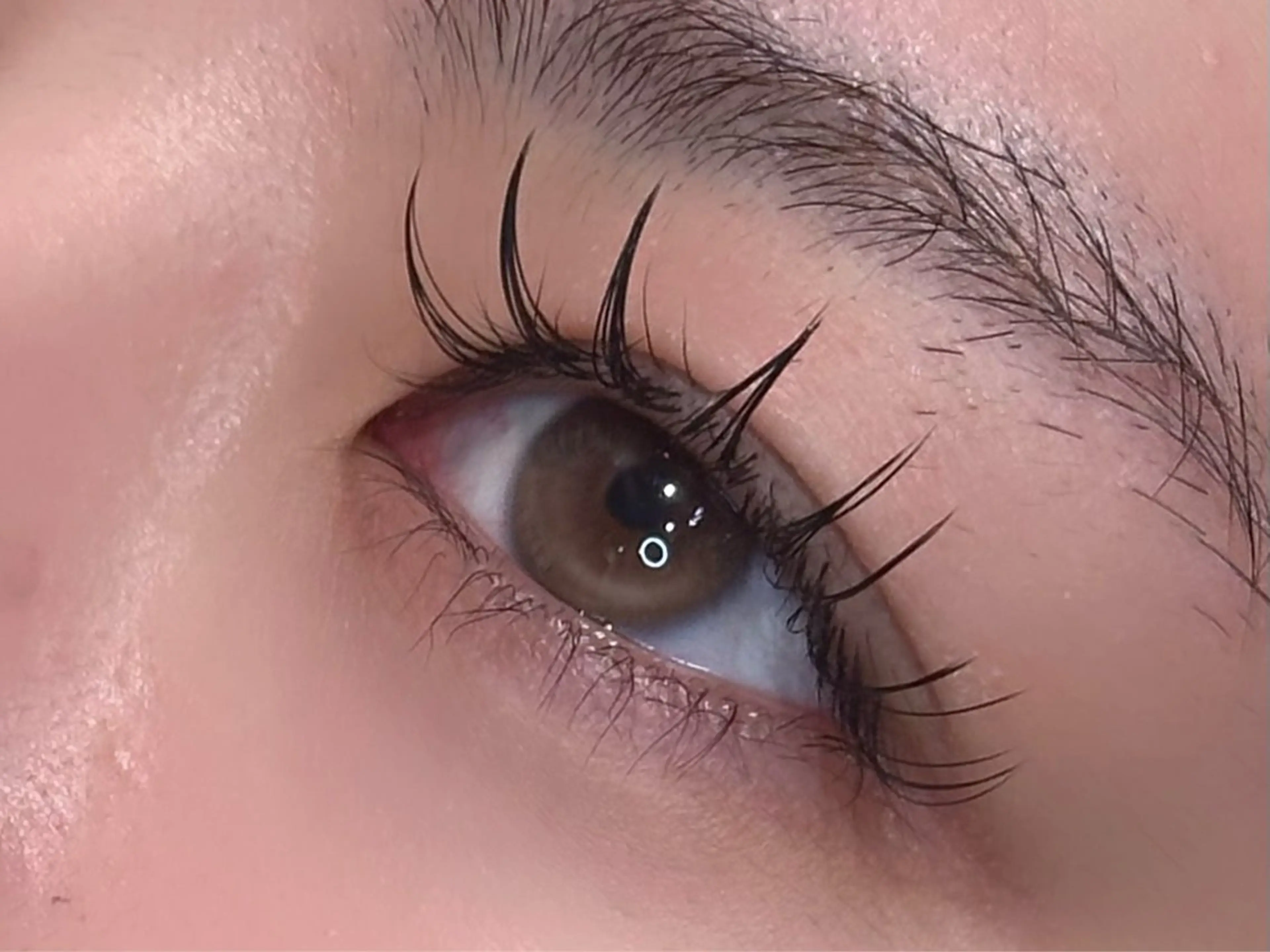 マツエク・マツパ koa【  コア⠀】所属・Koa🦋ma ho🦋のその他イメージ