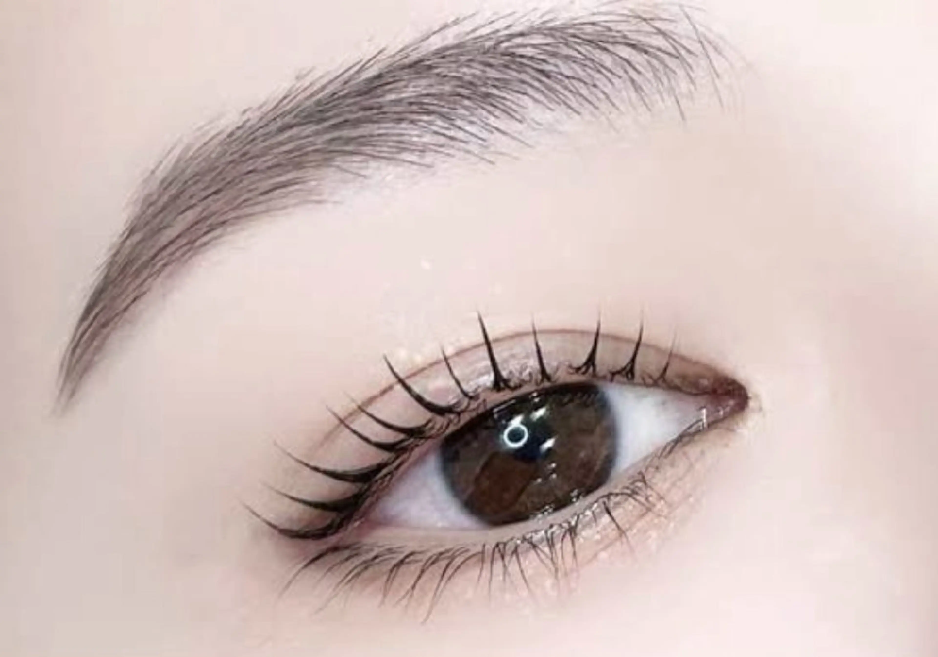 SNS話題❣ブラックティントラッシュリフト(まつ毛パーマ)の写真