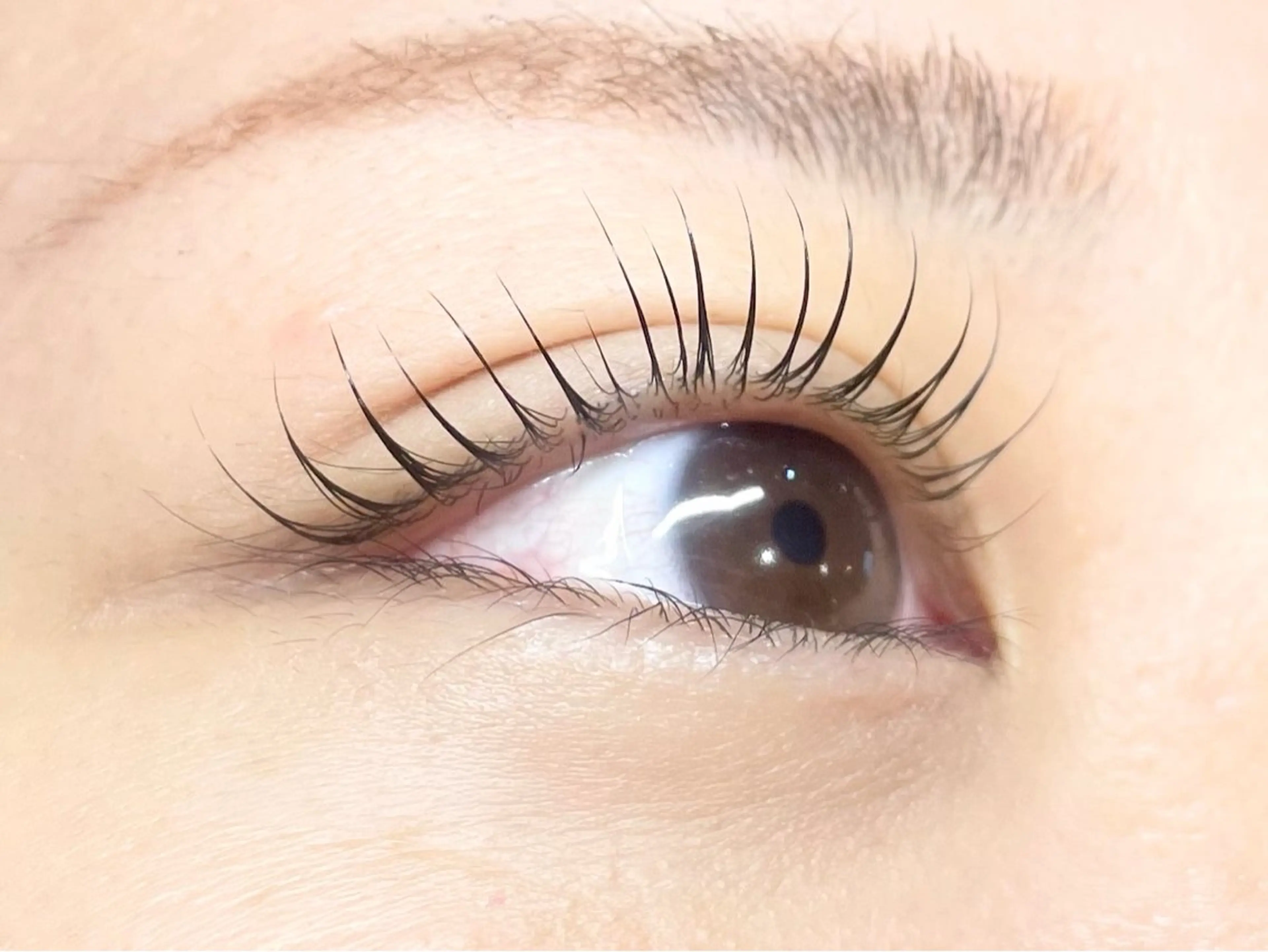 マツエク・マツパ マツパ アイラッシュサロン【エフドゥ】所属・中村彩香 (エフドゥ)のマツエク・マツパデザイン