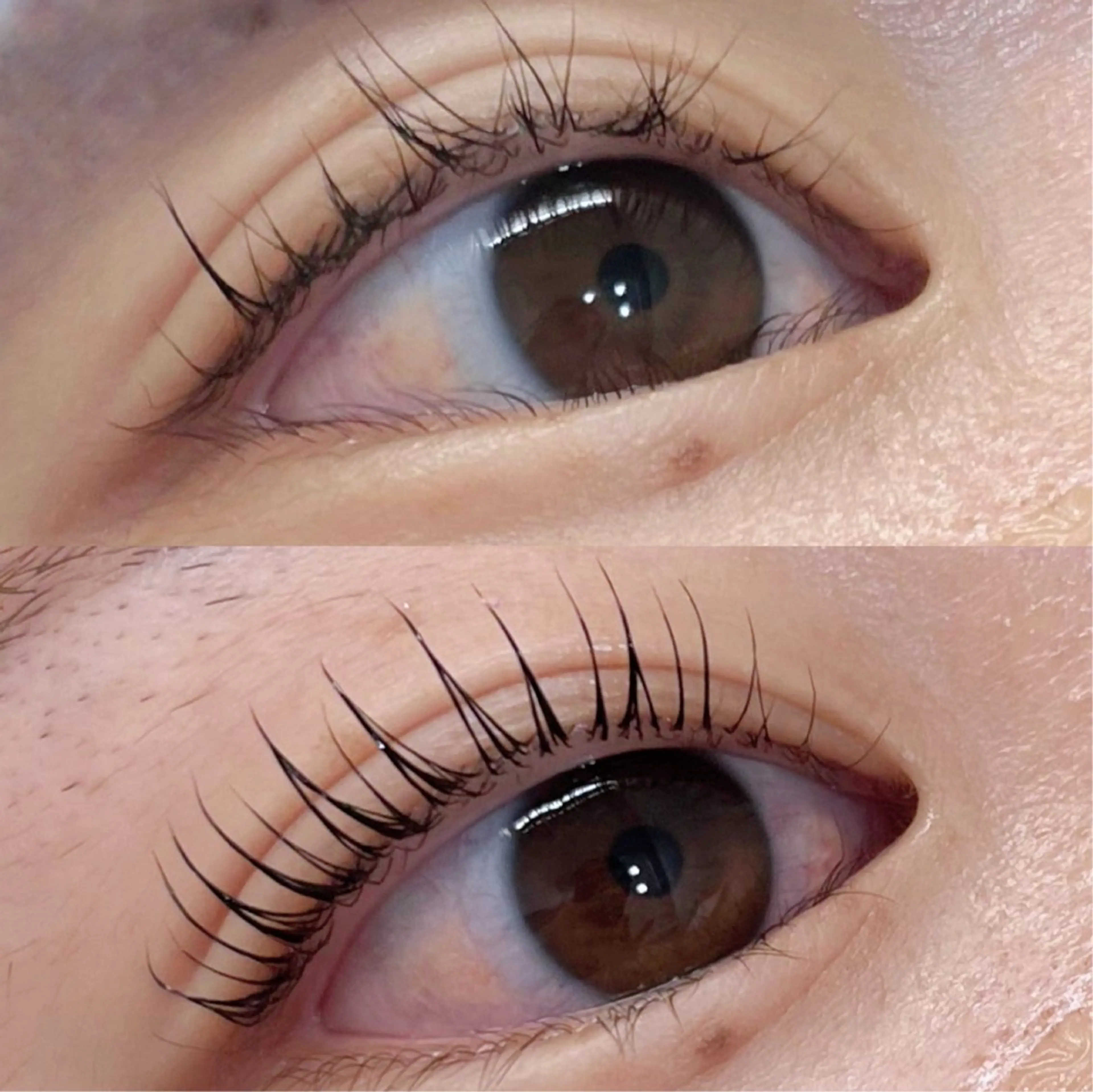 マツエク・マツパ マツパ coco / EYELAのマツエク・マツパデザイン