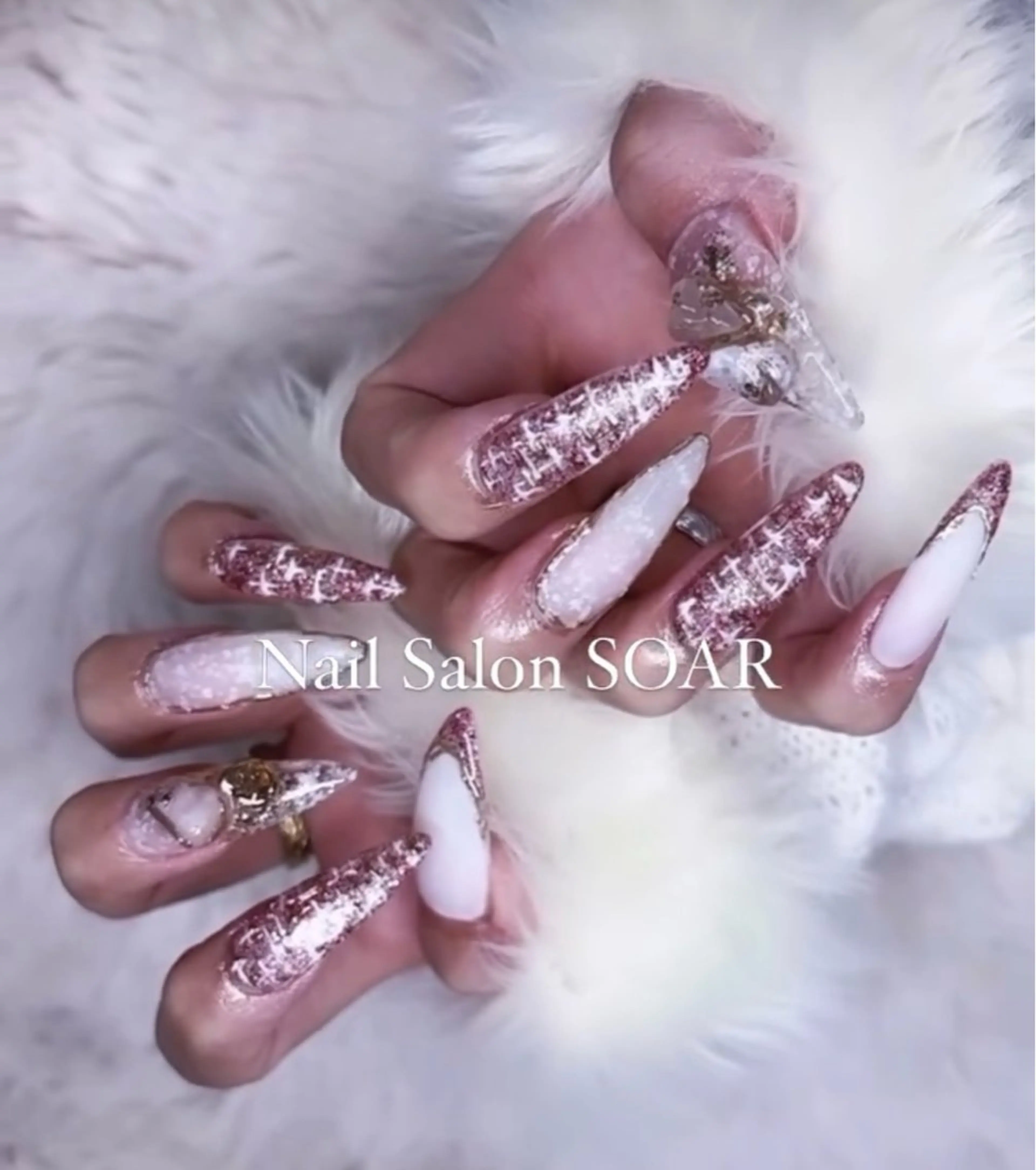 フルコースの写真