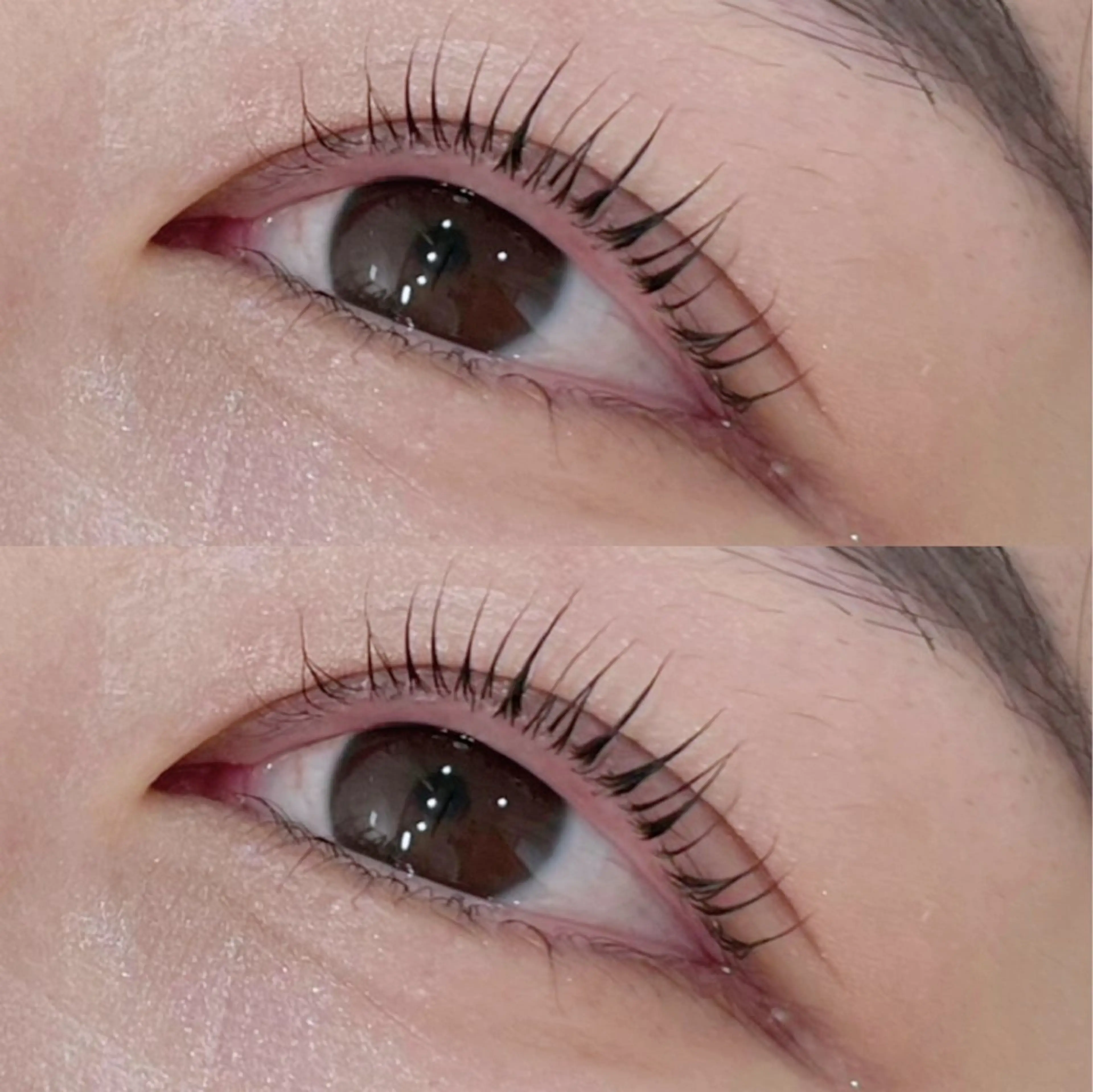 マツエク・マツパ マツパ coco / EYELAのマツエク・マツパデザイン