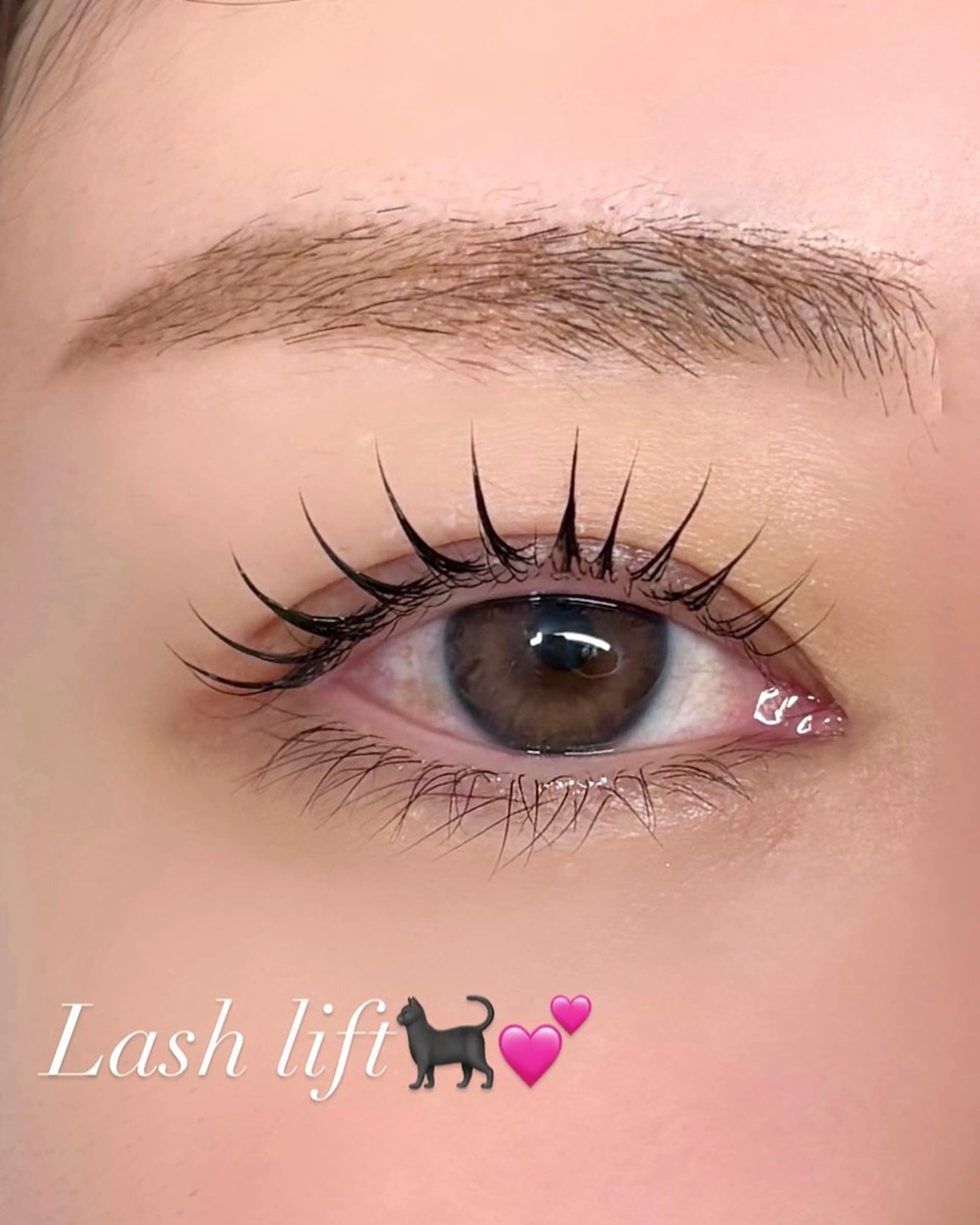 マツエク・マツパ 【lapte】 中目黒のマツエク・マツパデザイン