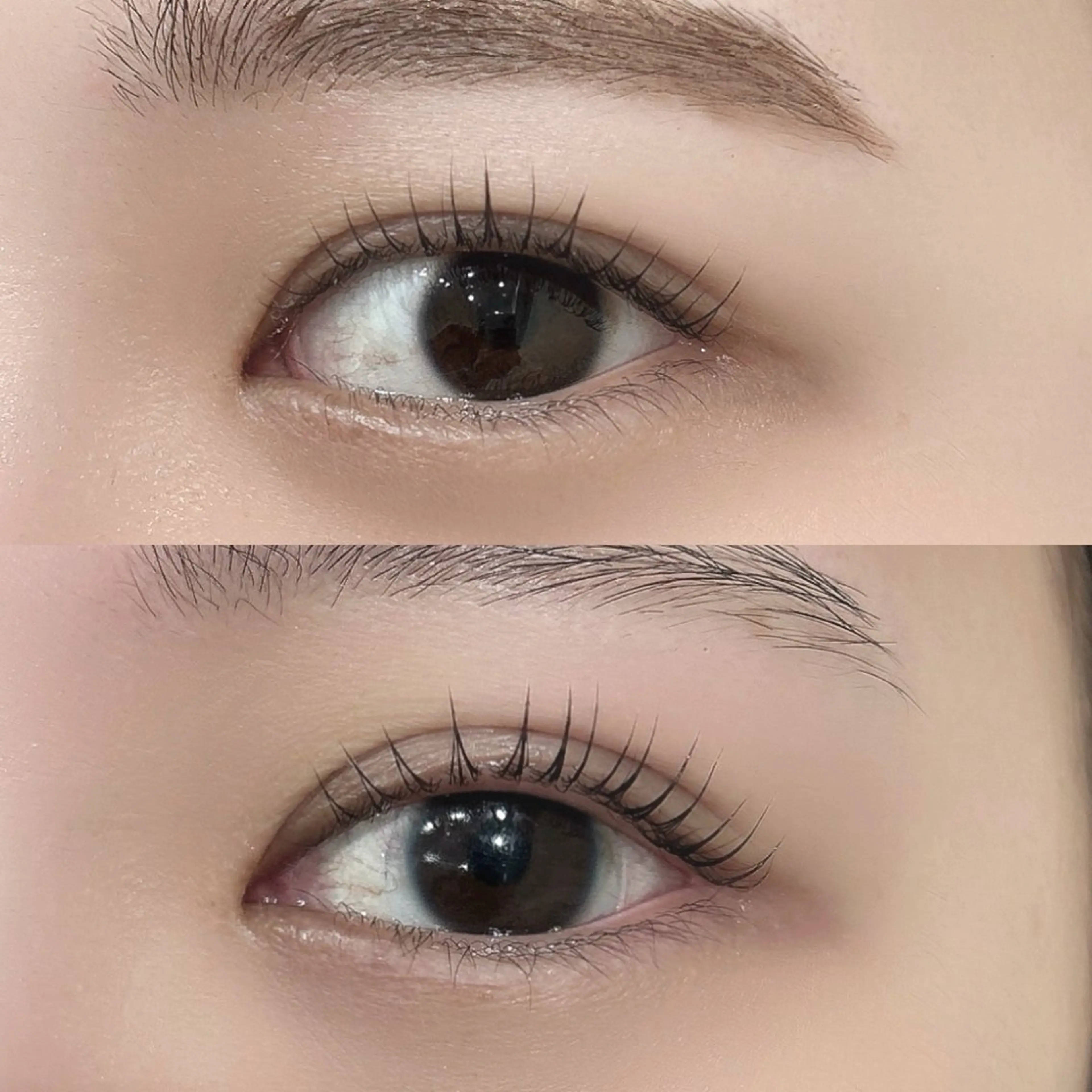 マツエク・マツパ パリジェンヌラッシュリフト マツパ une FEMINの眉毛・アイブロウイメージ