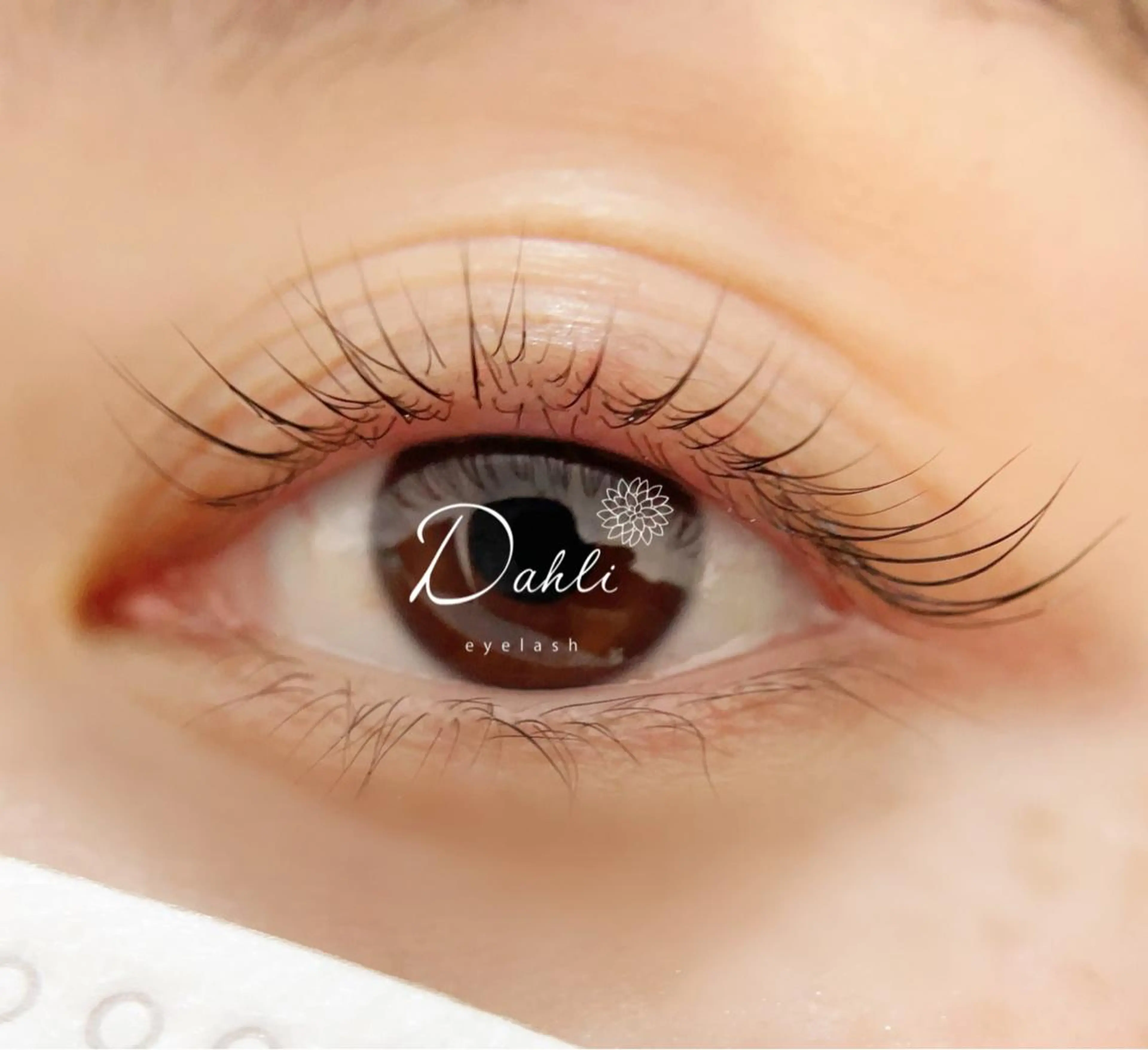 マツエク・マツパ Dahli eyelashのマツエク・マツパデザイン