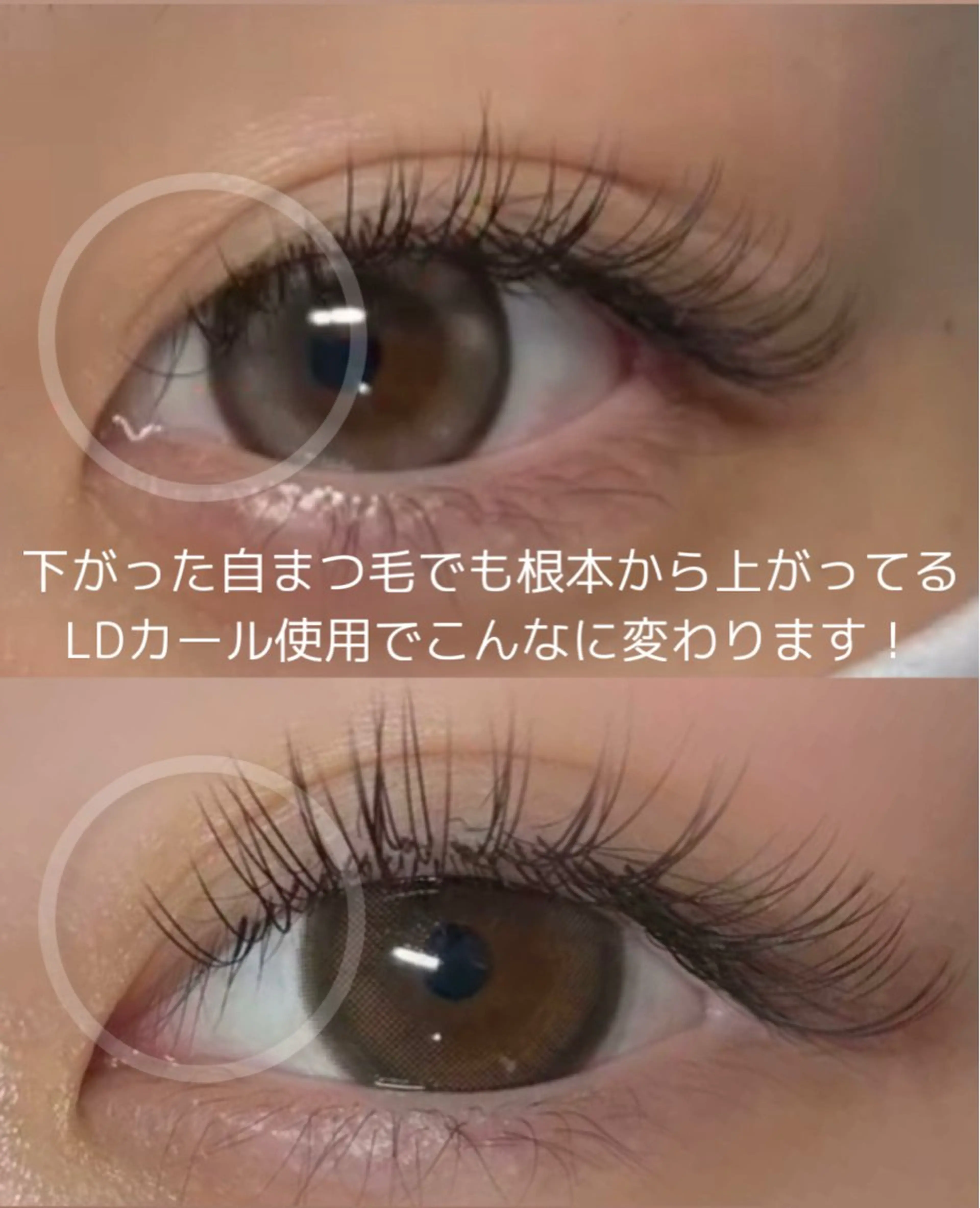 LDカールあり✨全6種 【時間内で本数無制限】圧倒的持続力◎待ちのいいバインド♪の写真