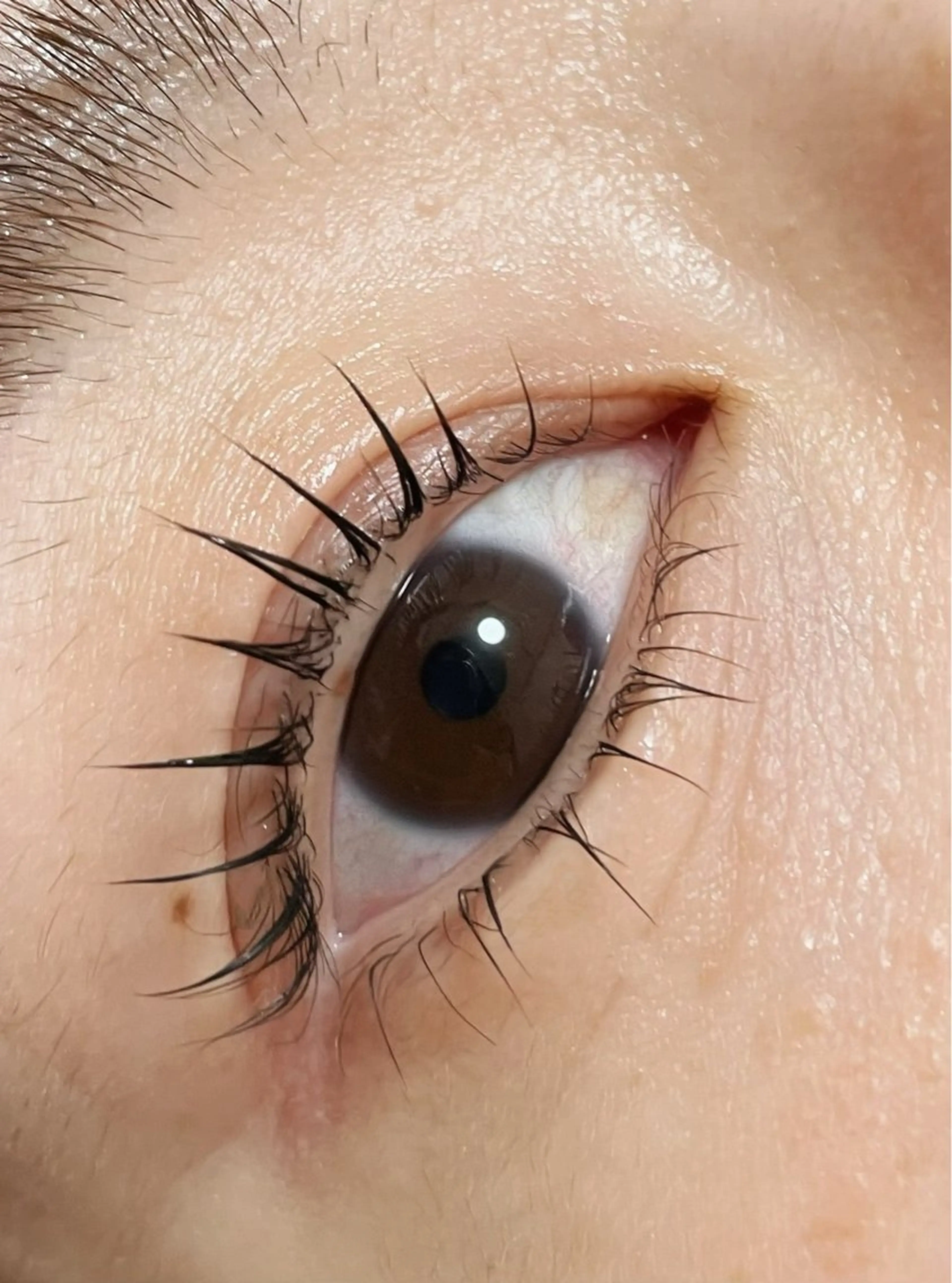 マツエク・マツパ マツパ cielo natsukiのマツエク・マツパデザイン