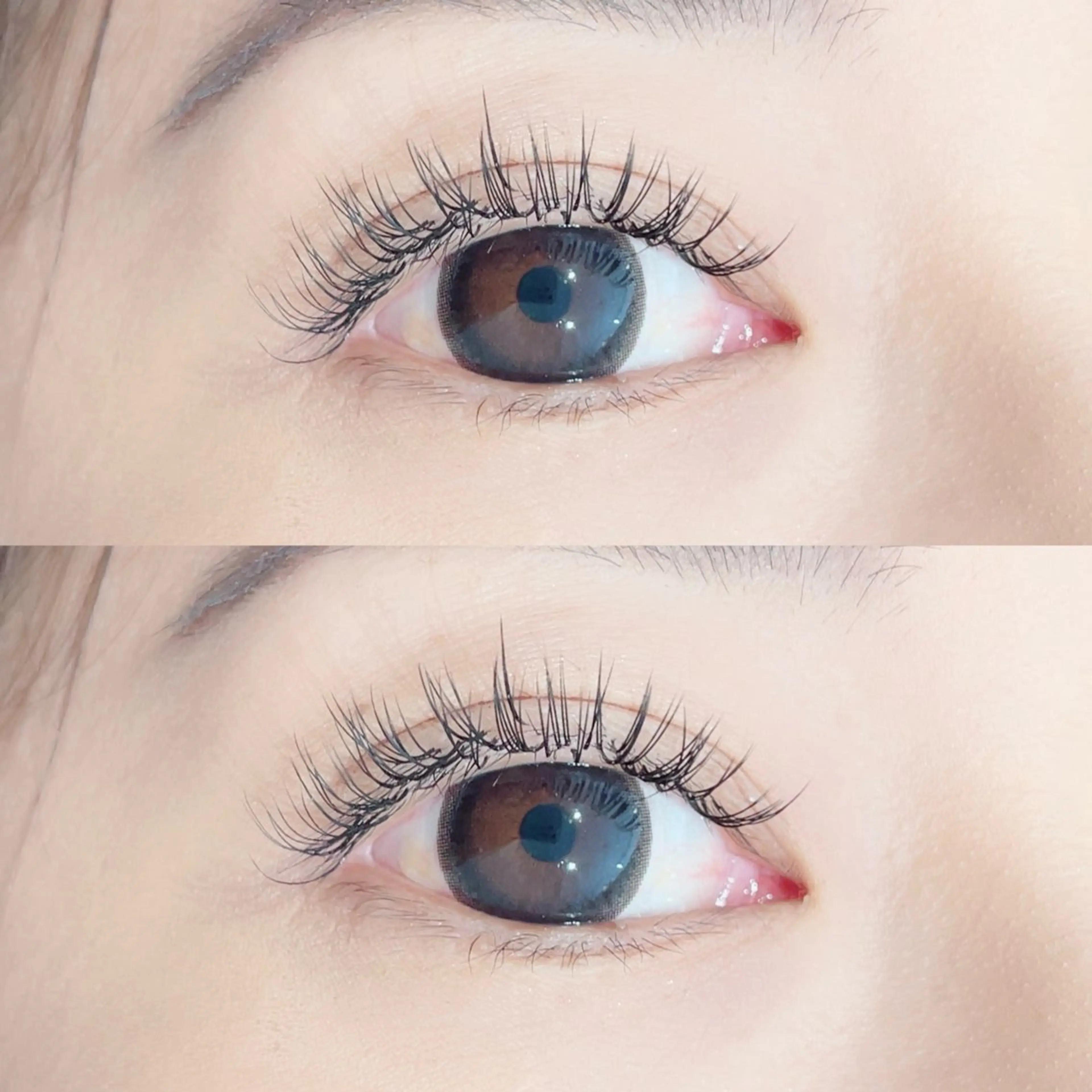 【持続力＆濃さ重視の方に🌸】 ダブルフラットラッシュ 160本の写真