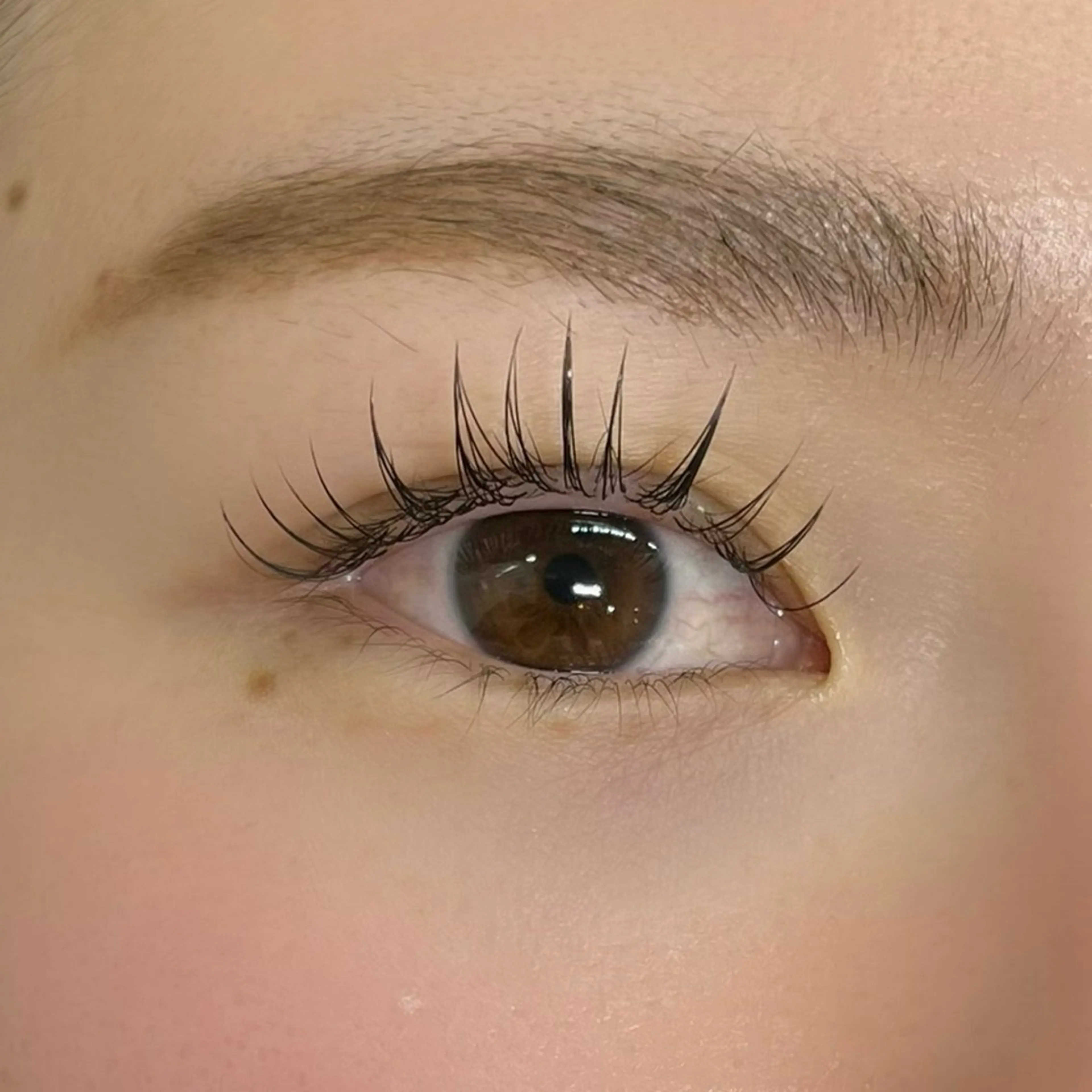 マツエク・マツパ マツエク Eden Eyelashのマツエク・マツパデザイン