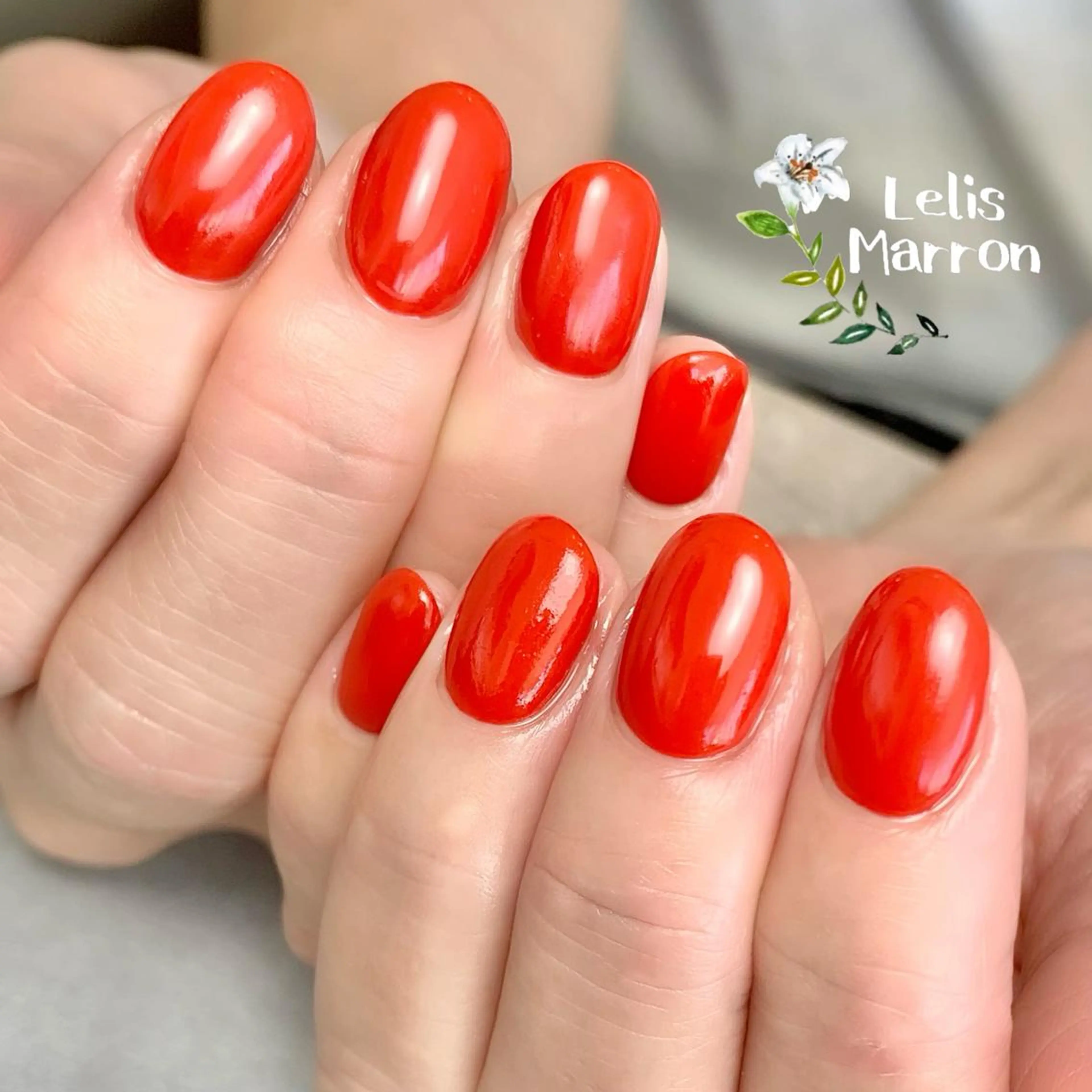 【平日限定】ワンカラー【付替オフ有り】の写真