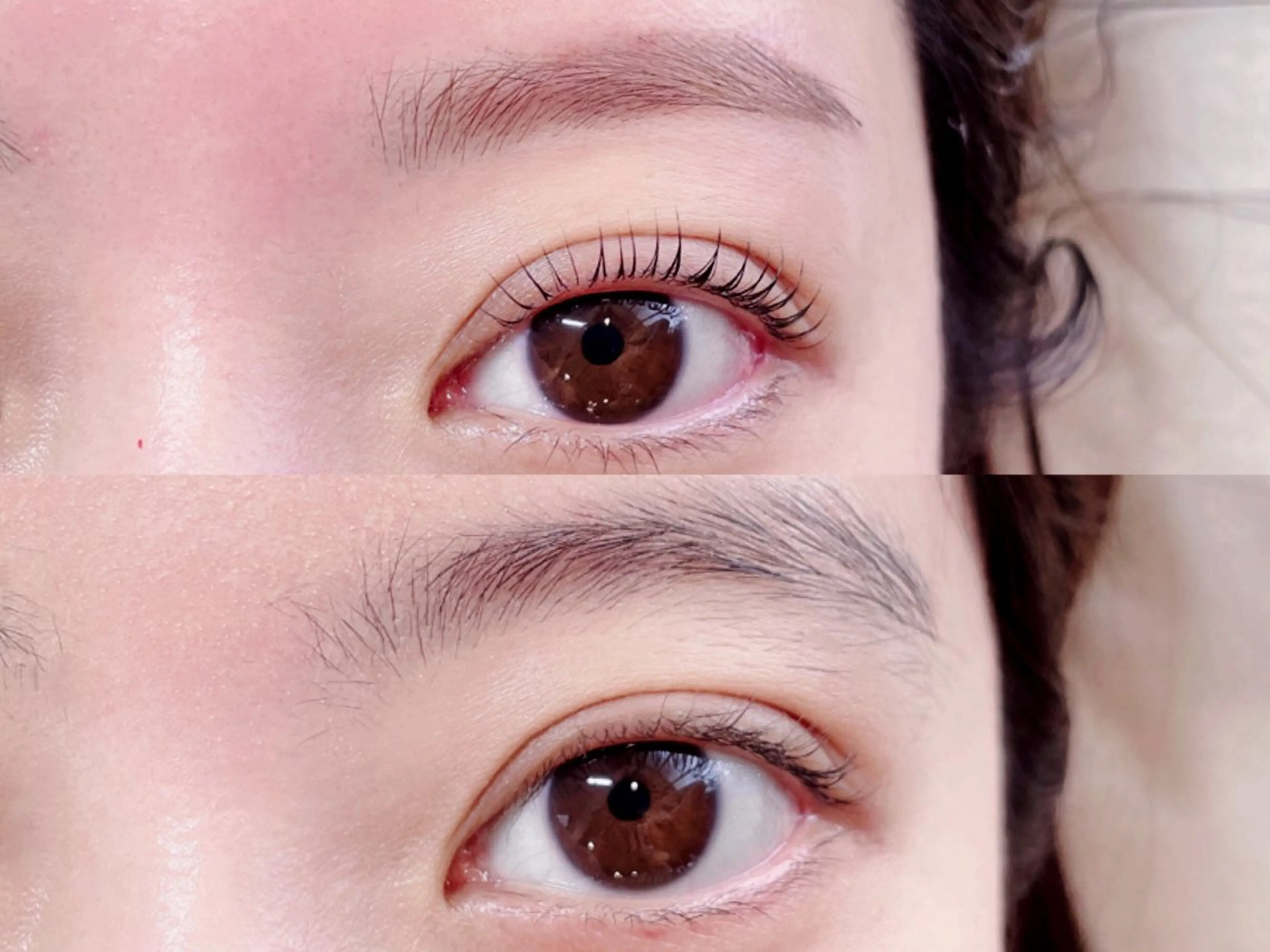 リピーター様🔁💐アイブロウワックス➕まつ毛パーマღトリートメント付🌻の写真