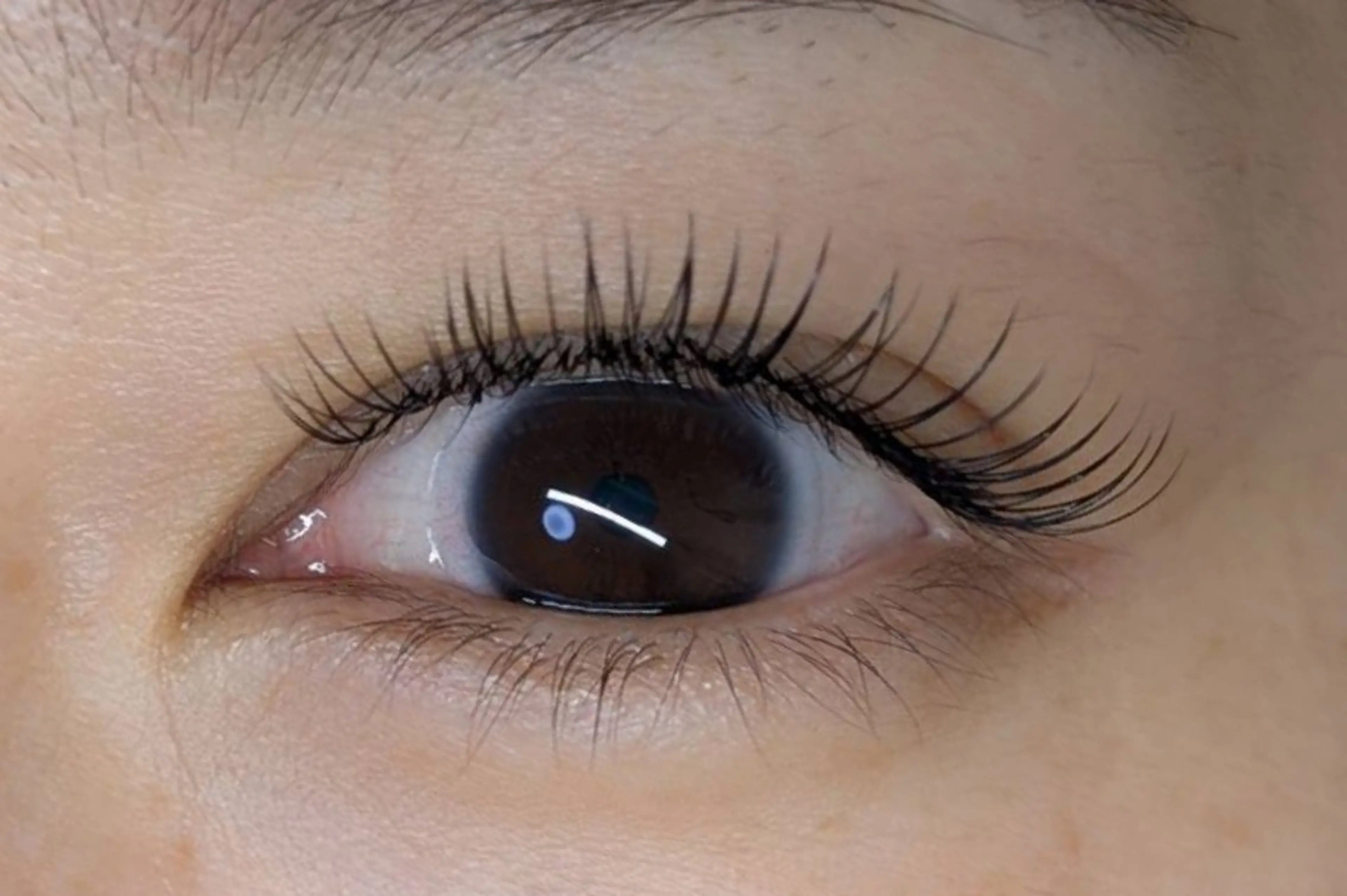 マツエク・マツパ utile eyelashのマツエク・マツパデザイン