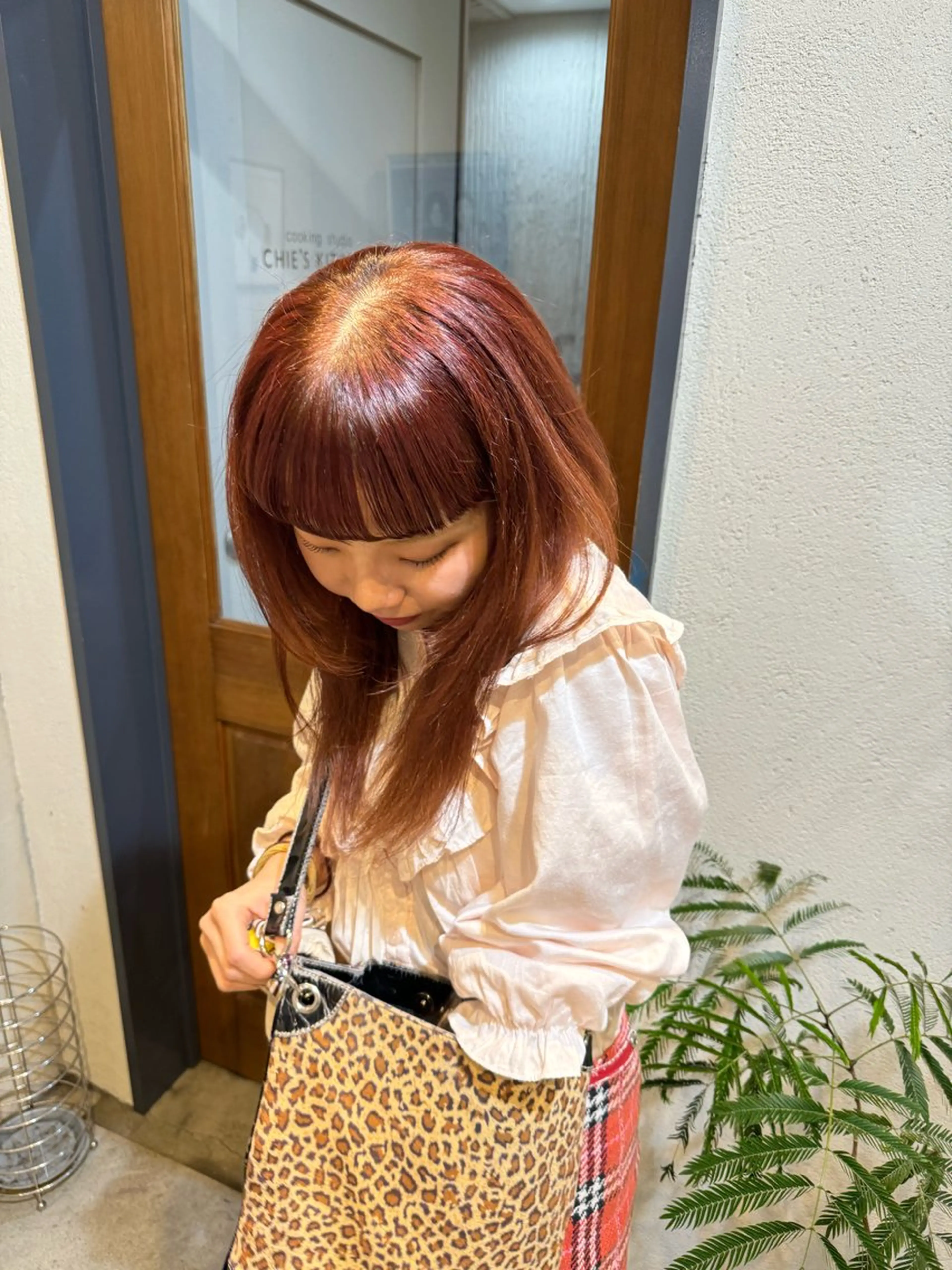 ワンカラーの写真