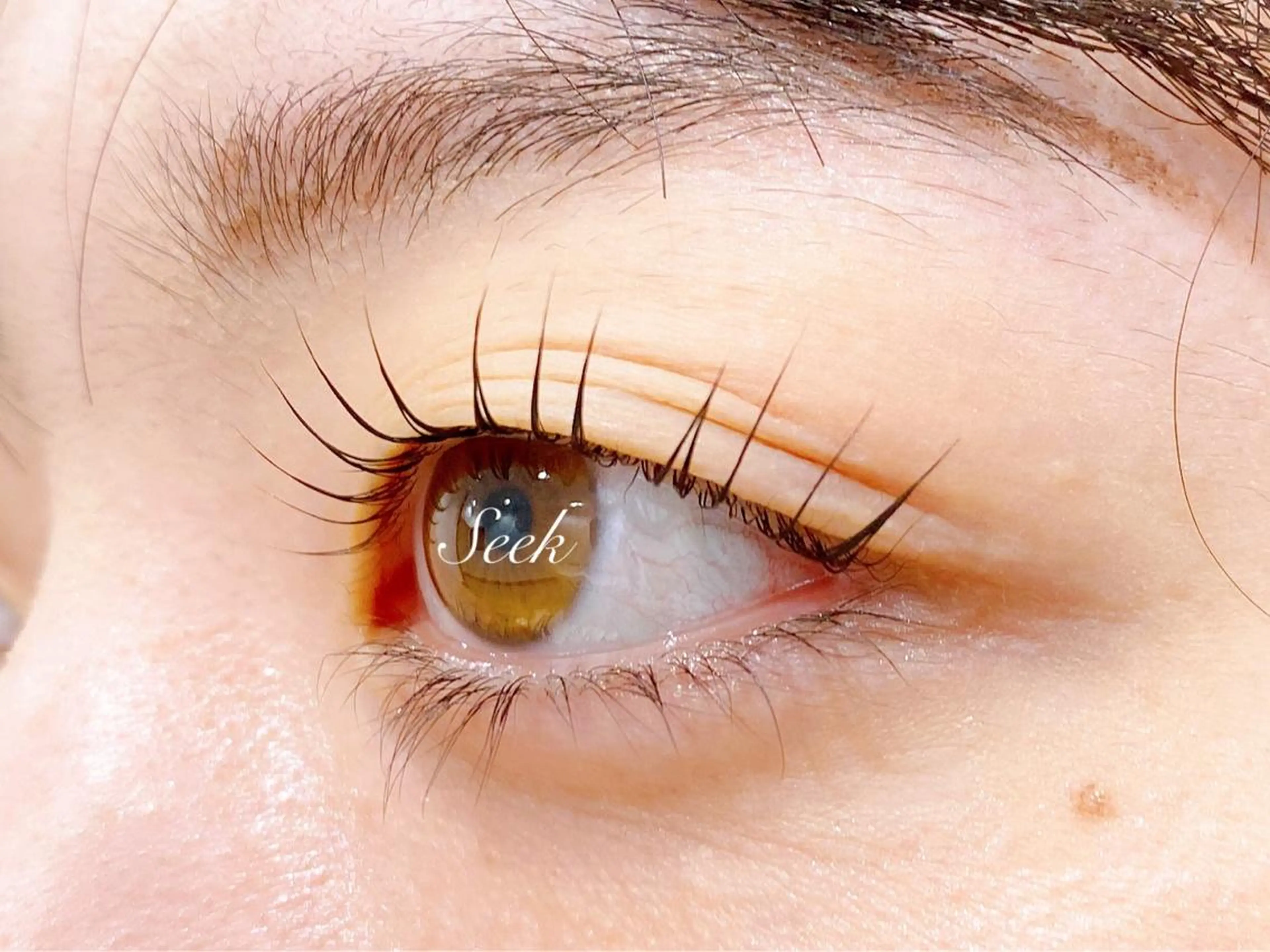 マツエク・マツパ 一重×まつ毛パーマ マツパ Seek lash&browのエステ・リラクイメージ