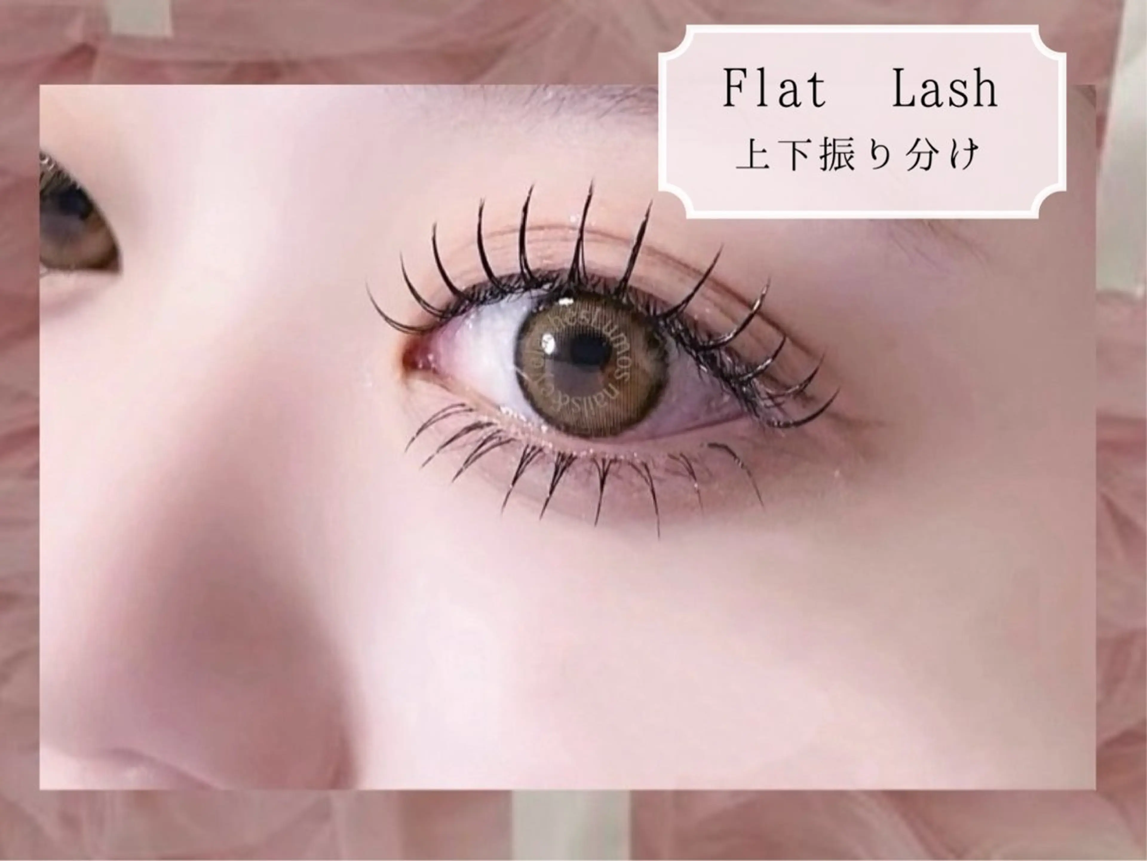 【他店オフ無料】フラットラッシュ180本まで上下振り分け可の写真